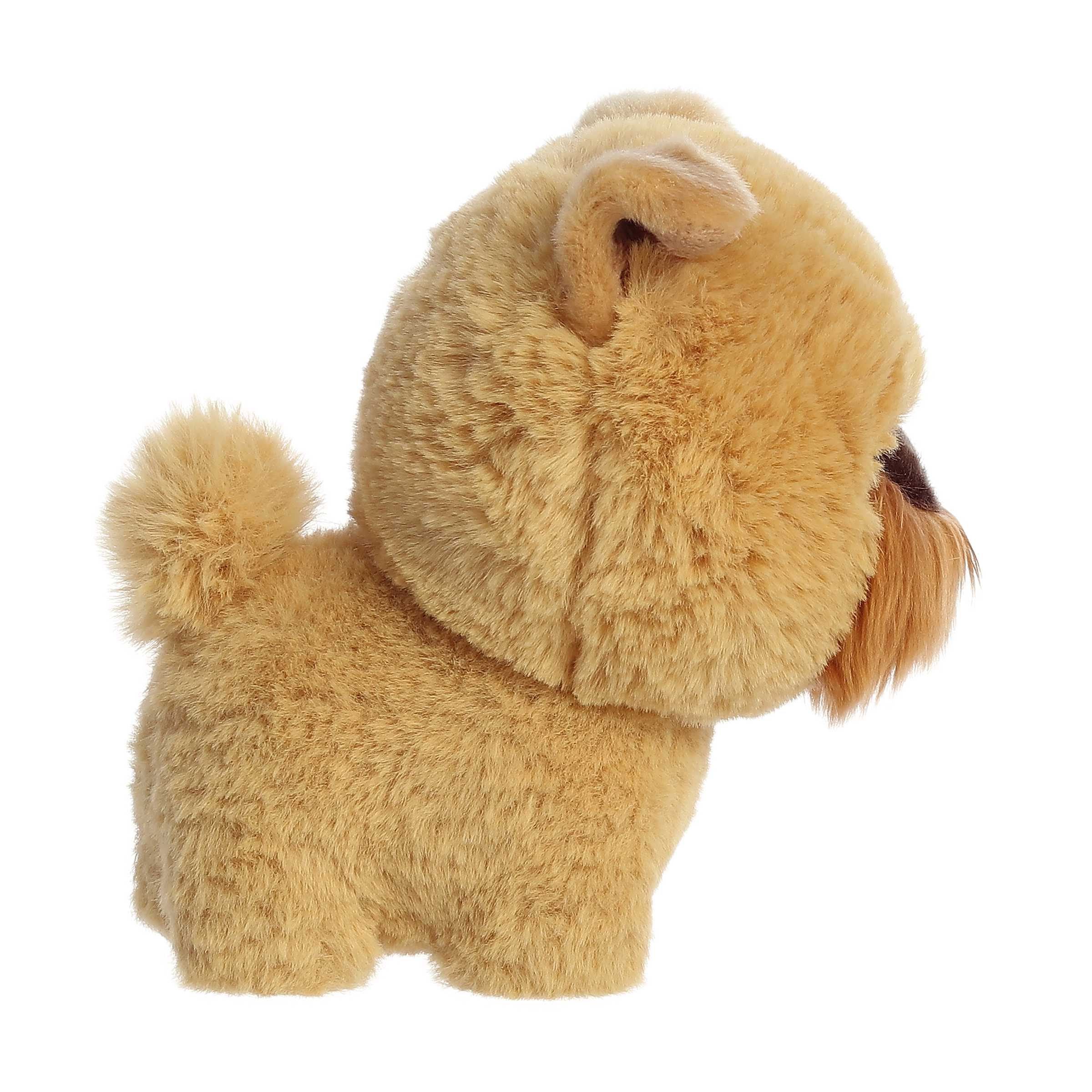 Aurora® - Teddy Pets™ - 7" Griffon Bruxellois