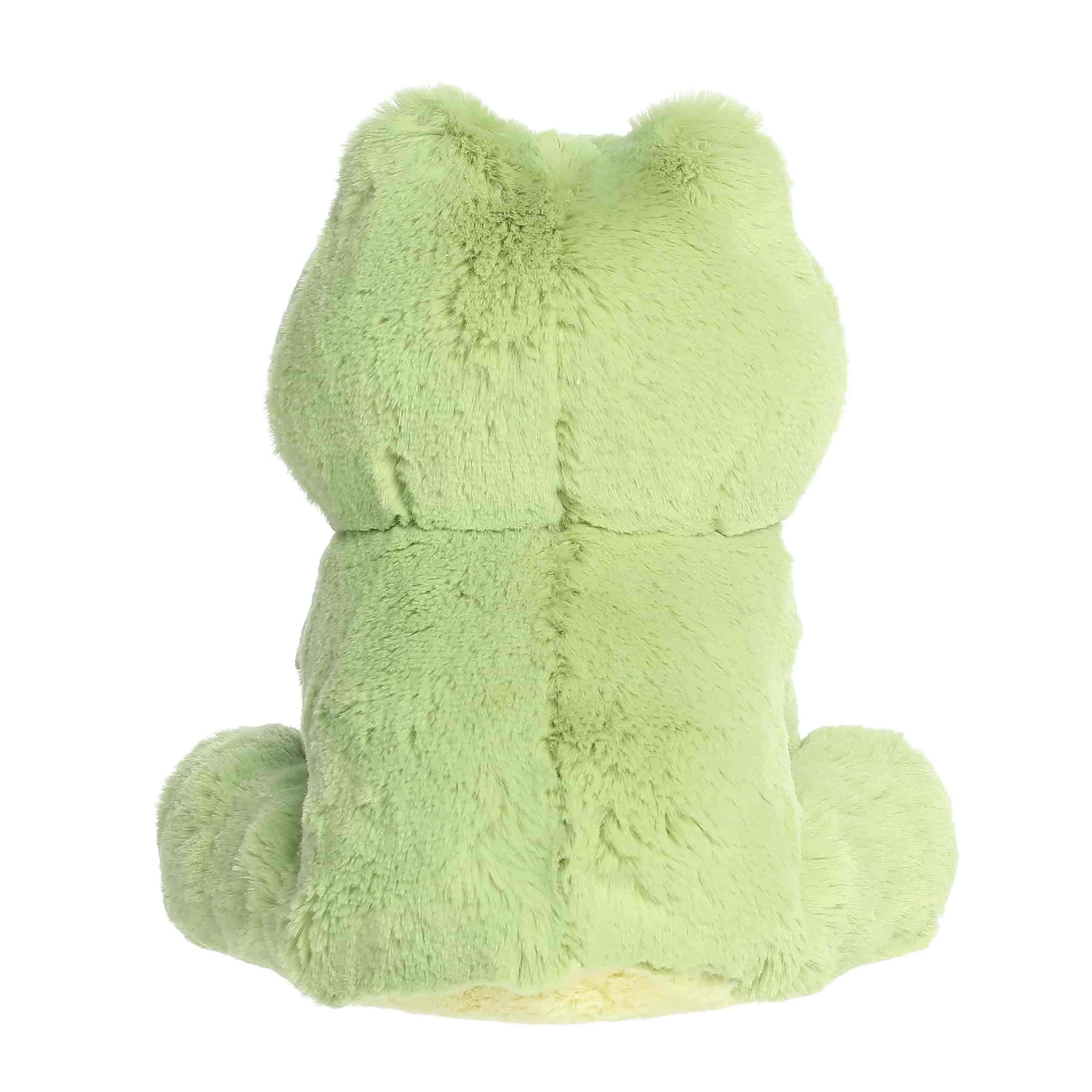 Aurora® - Little Dreamers™ - 7.5" Starry Frog™