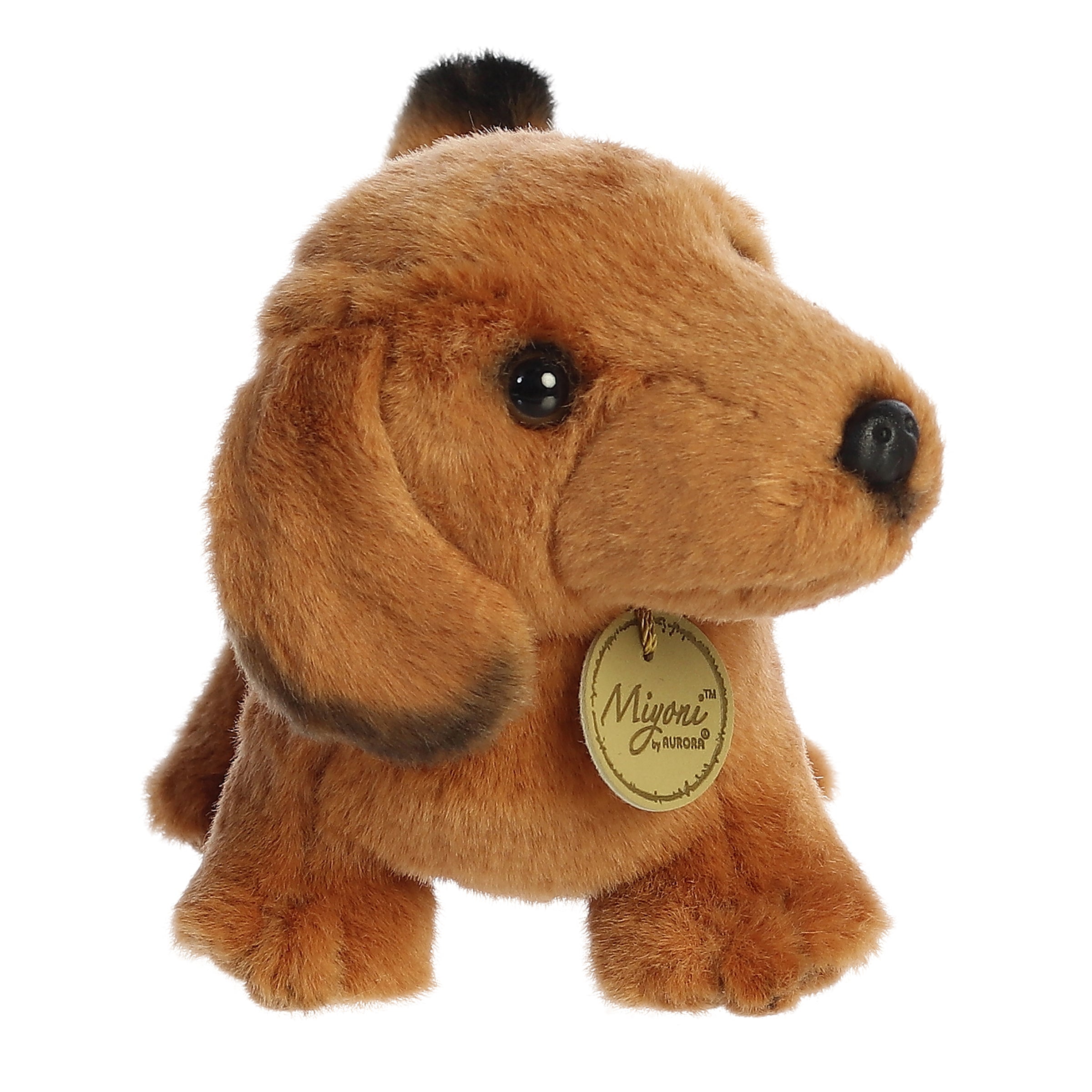 Aurora® - Miyoni® - 8" Dachshund