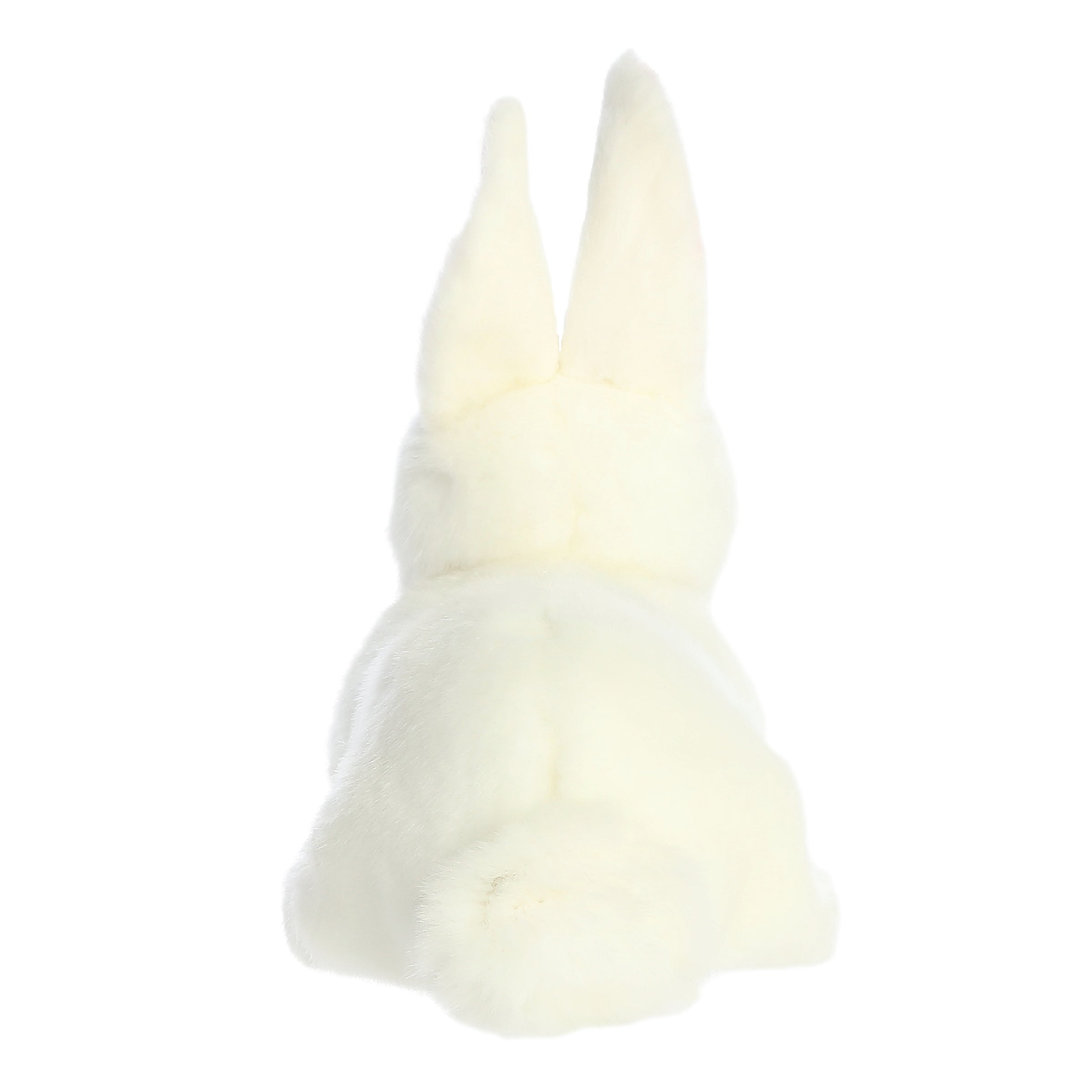 Aurora® - Miyoni® - American White Rabbit