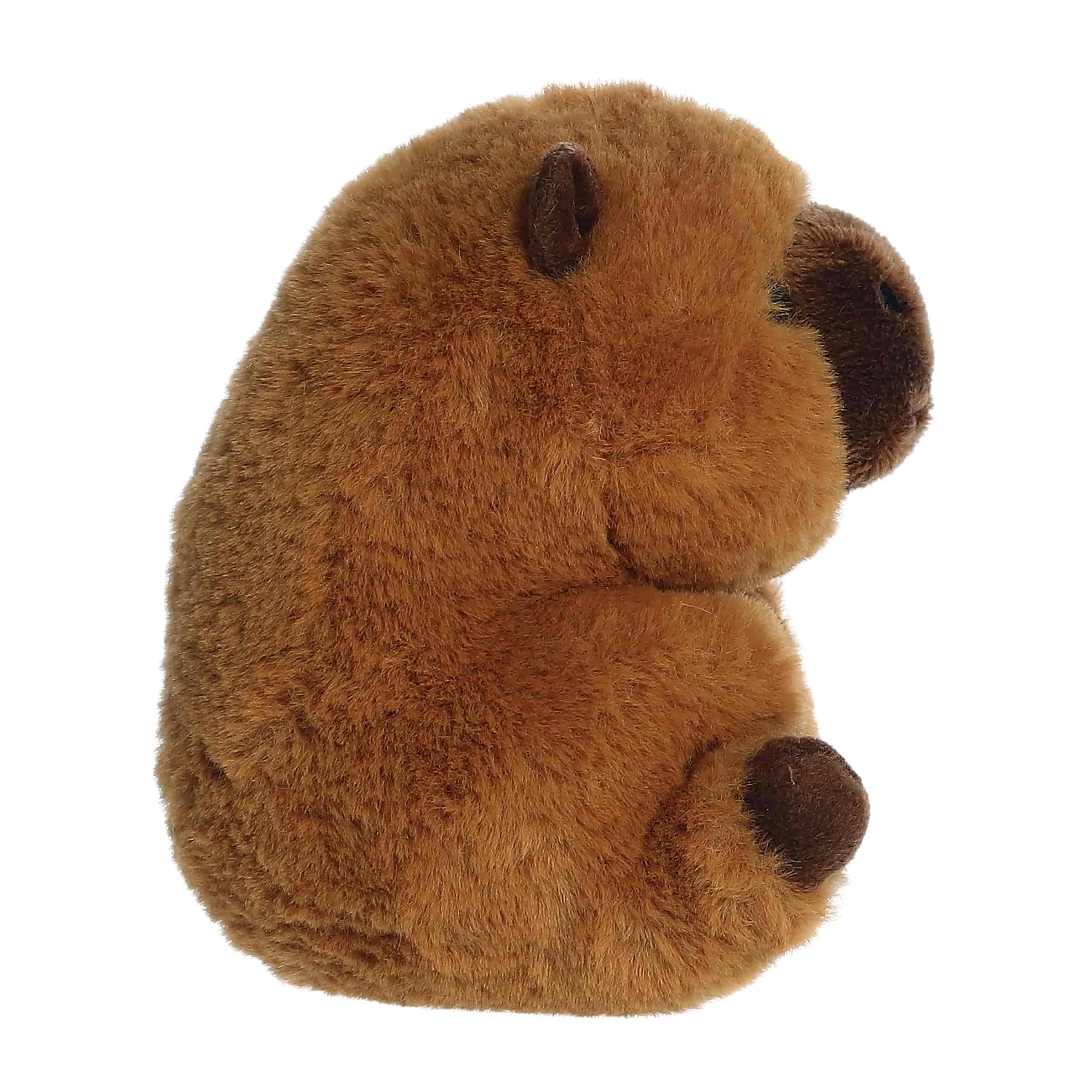 Aurora® - Rolly Pet™ - 5" Charlie Capybara™