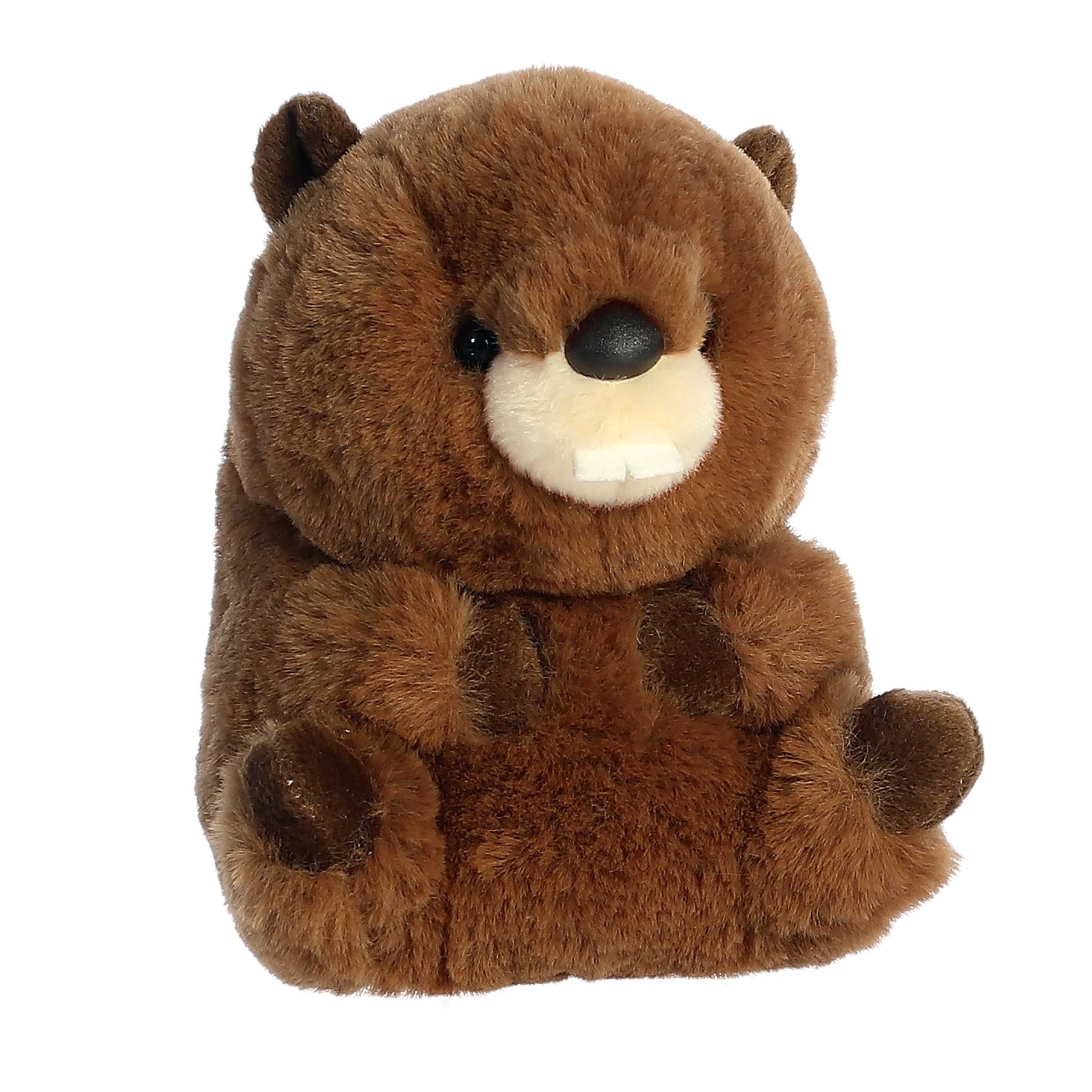 Aurora® - Rolly Pet™ - 5" Beethoven Beaver™