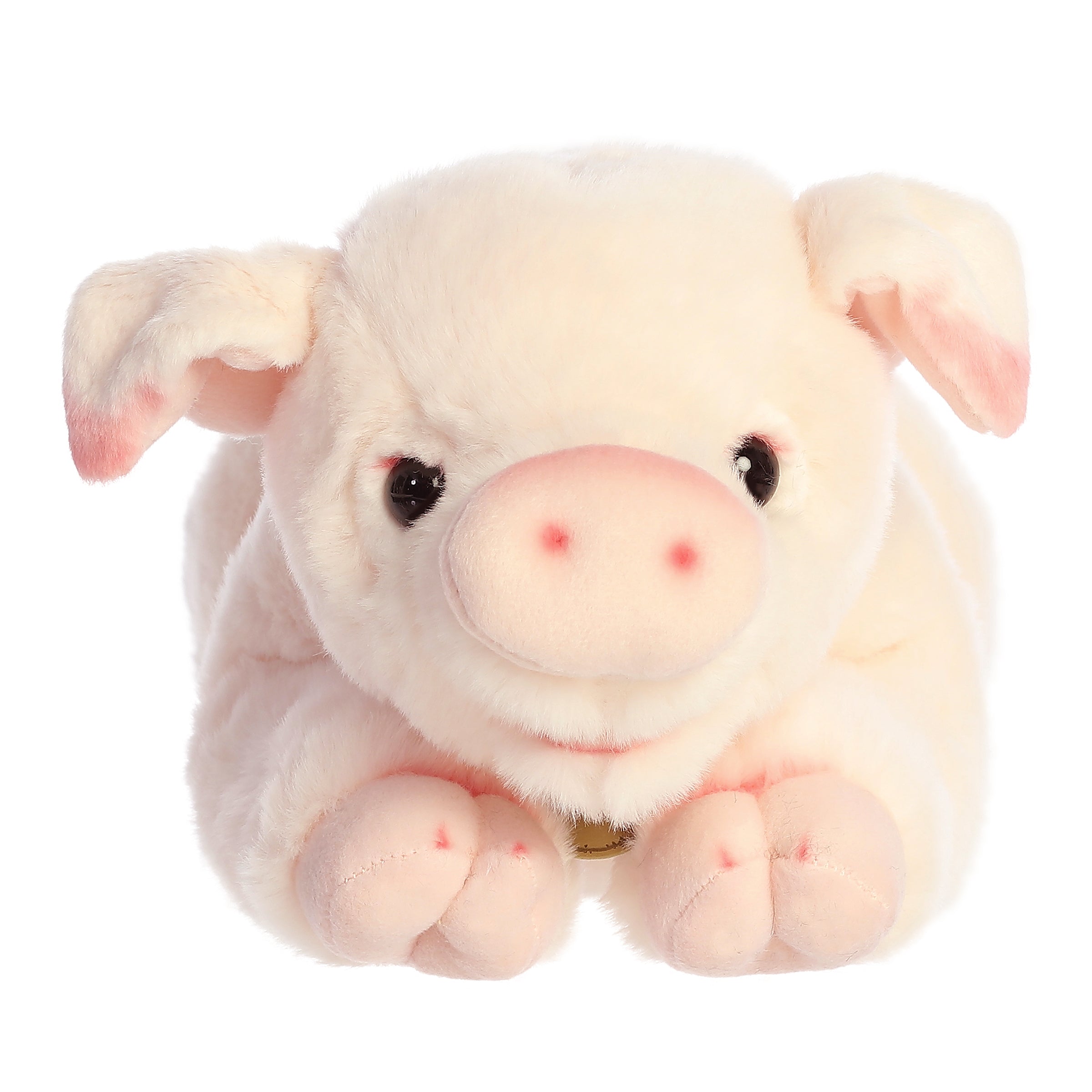 Aurora® - Miyoni® -  Pig