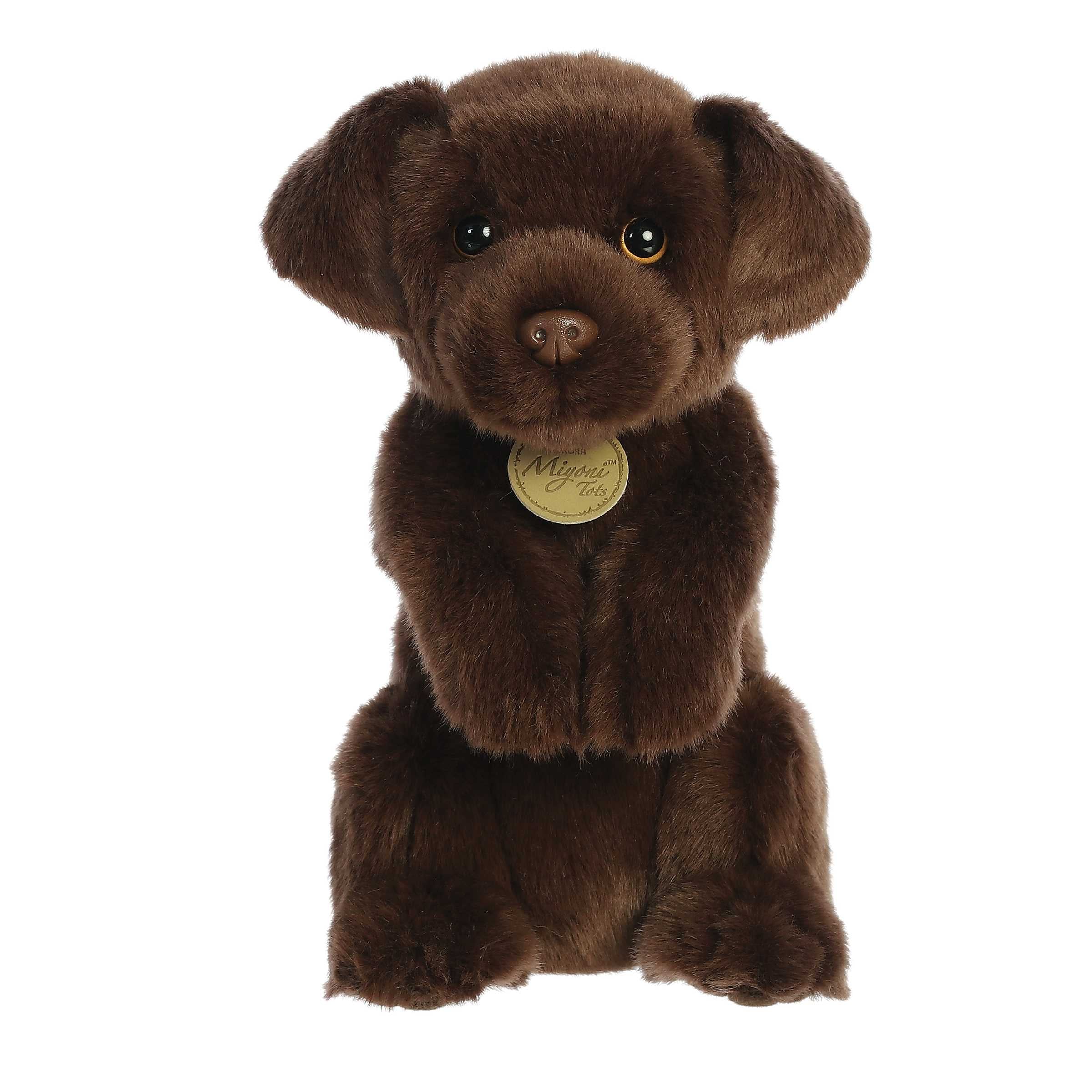 Adorable Miyoni Chocolate Lab plush, sitting playfully with a luxurious dark brown coat, and a realistic plastic nose.