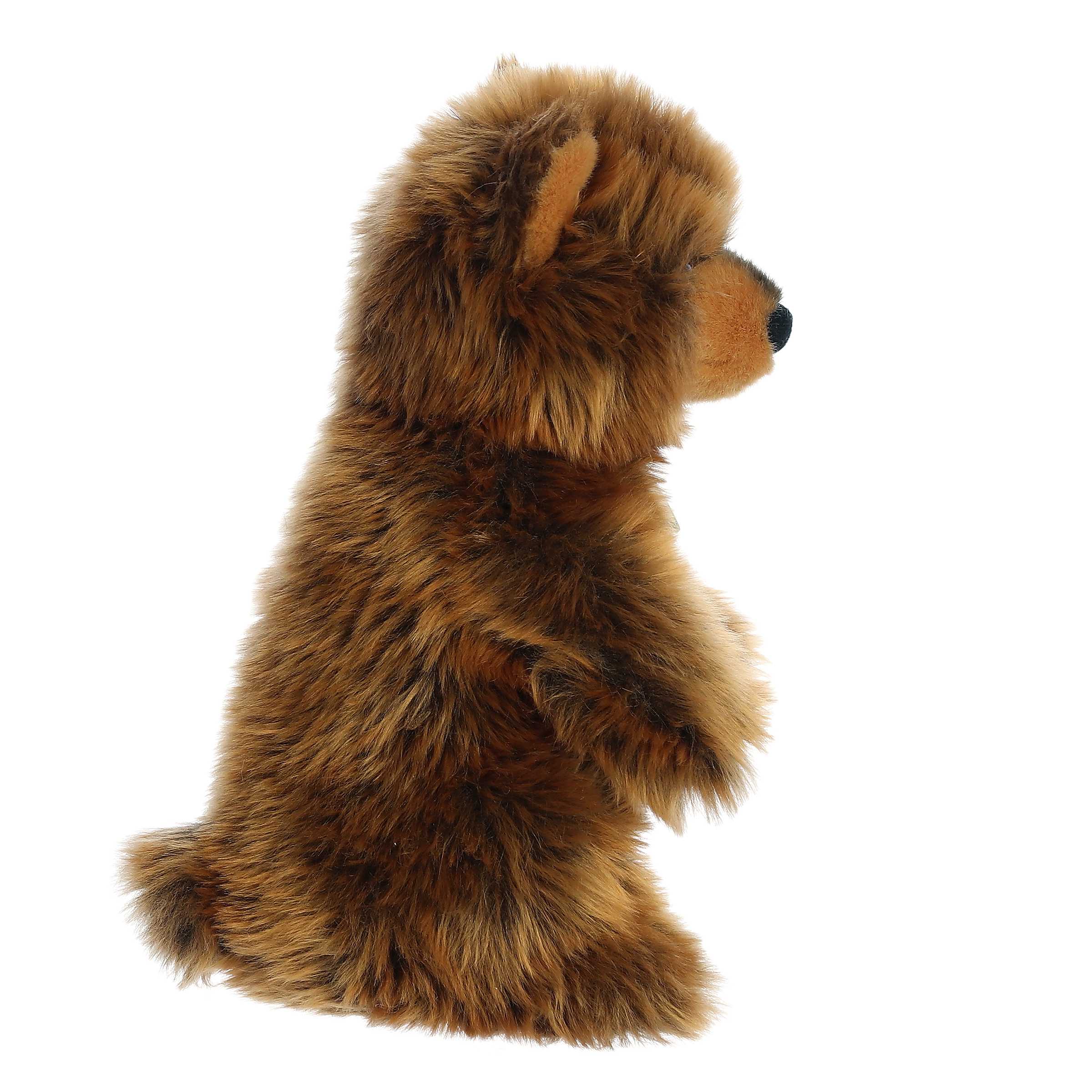 Aurora® - Miyoni® Tots - Sitting Pretty™ - 10" Grizzly Bear Cub