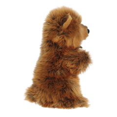 Aurora® - Miyoni® Tots - Sitting Pretty™ - 10" Grizzly Bear Cub
