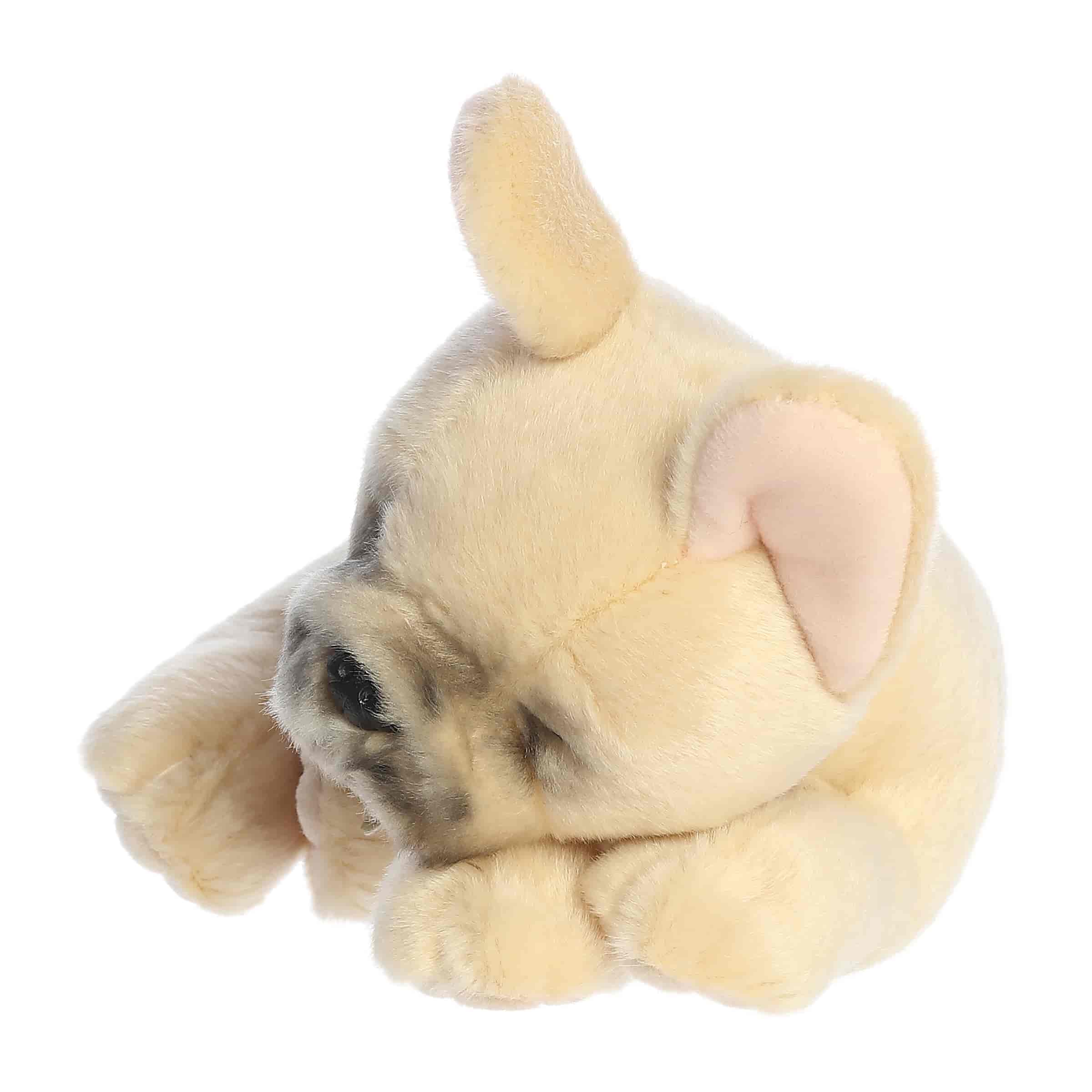Aurora® - Miyoni® Tots - 10" Sleepy French Bulldog Pup