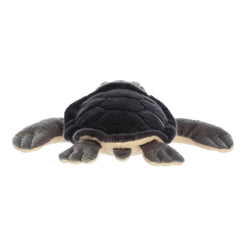 Aurora® - Miyoni® Tots - 11.5" Sea Turtle Hatchling