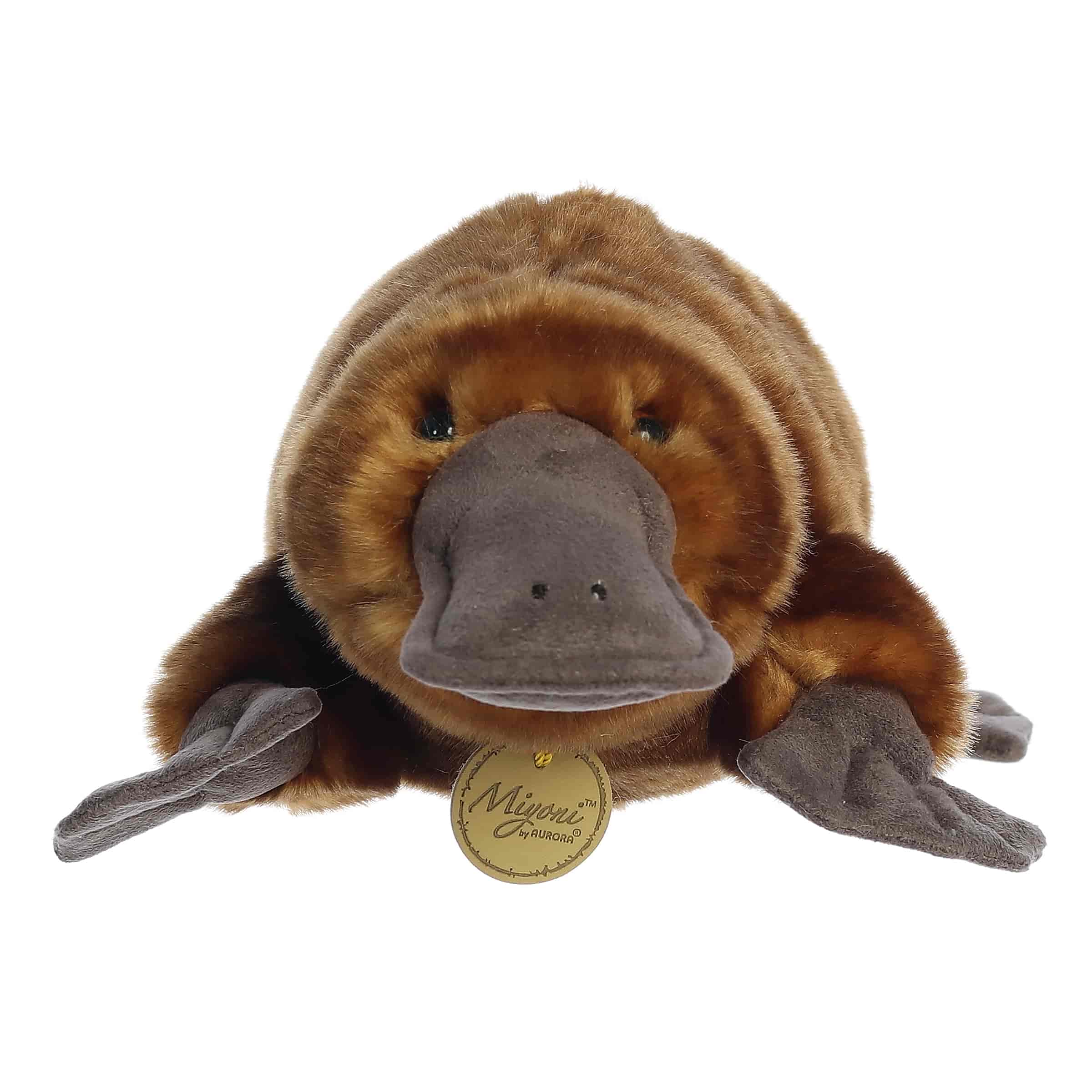 Aurora® - Miyoni® - 14" Platypus