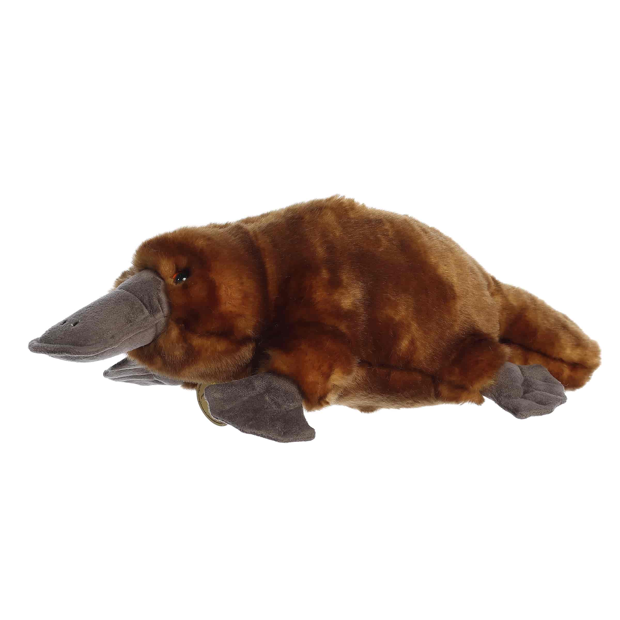 Aurora® - Miyoni® - 14" Platypus
