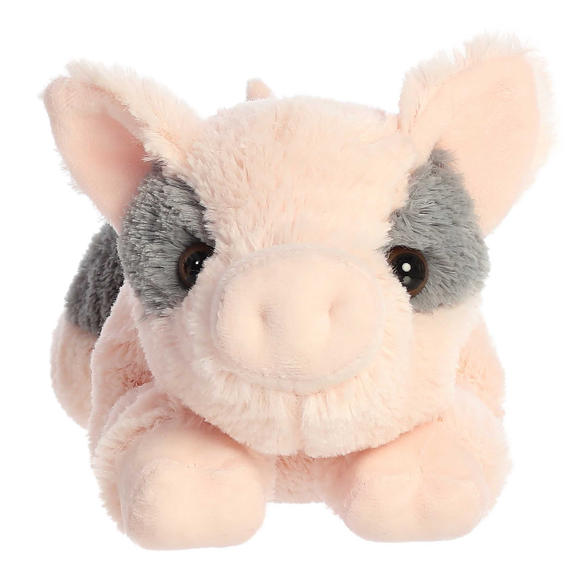 Small pig plush online