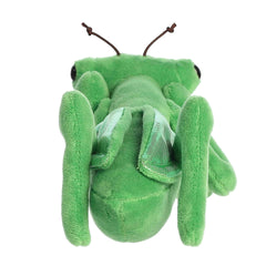 Aurora® - Mini Flopsie™ - 8" Mia Praying Mantis™