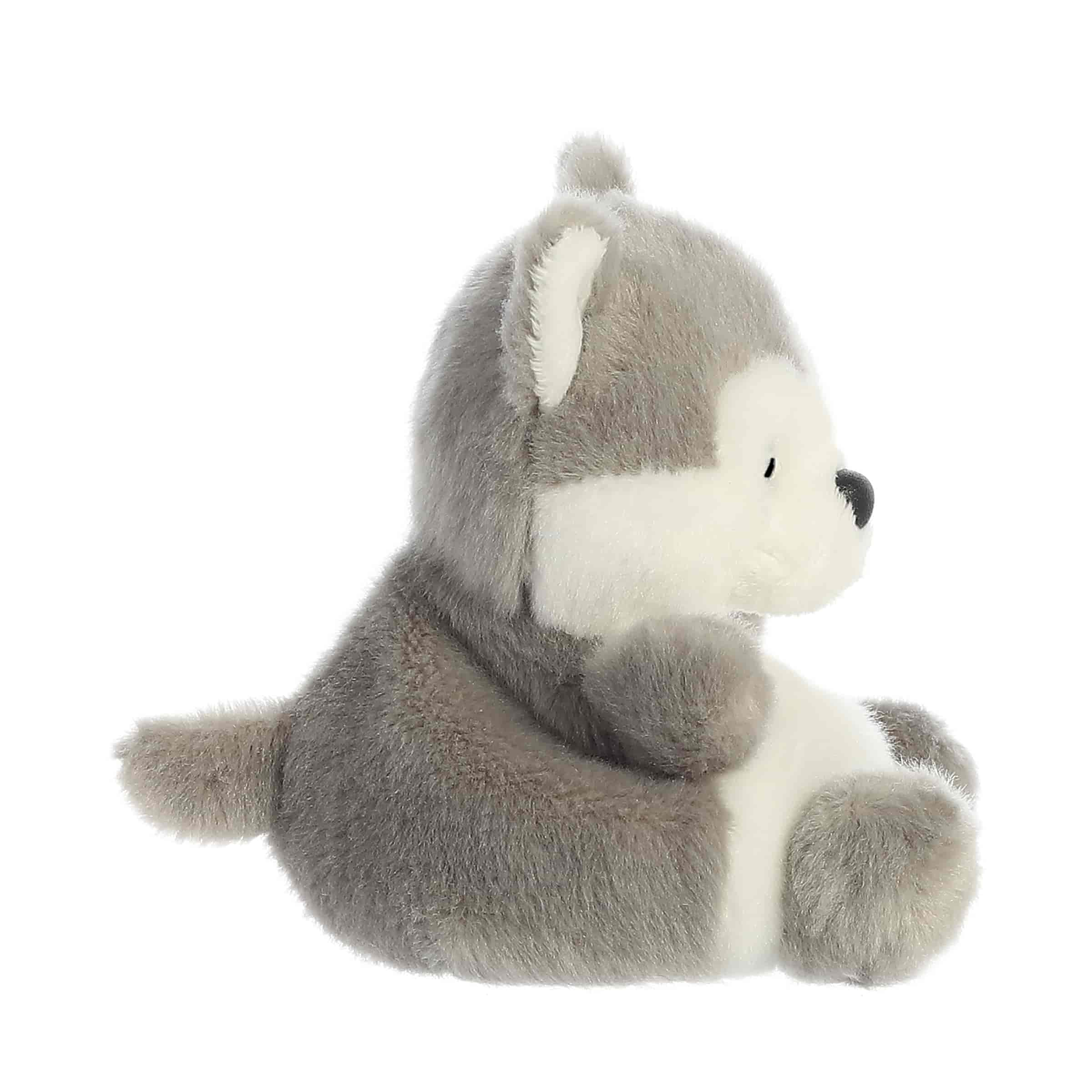 Aurora® - Palm Pals™ - Busky Husky™