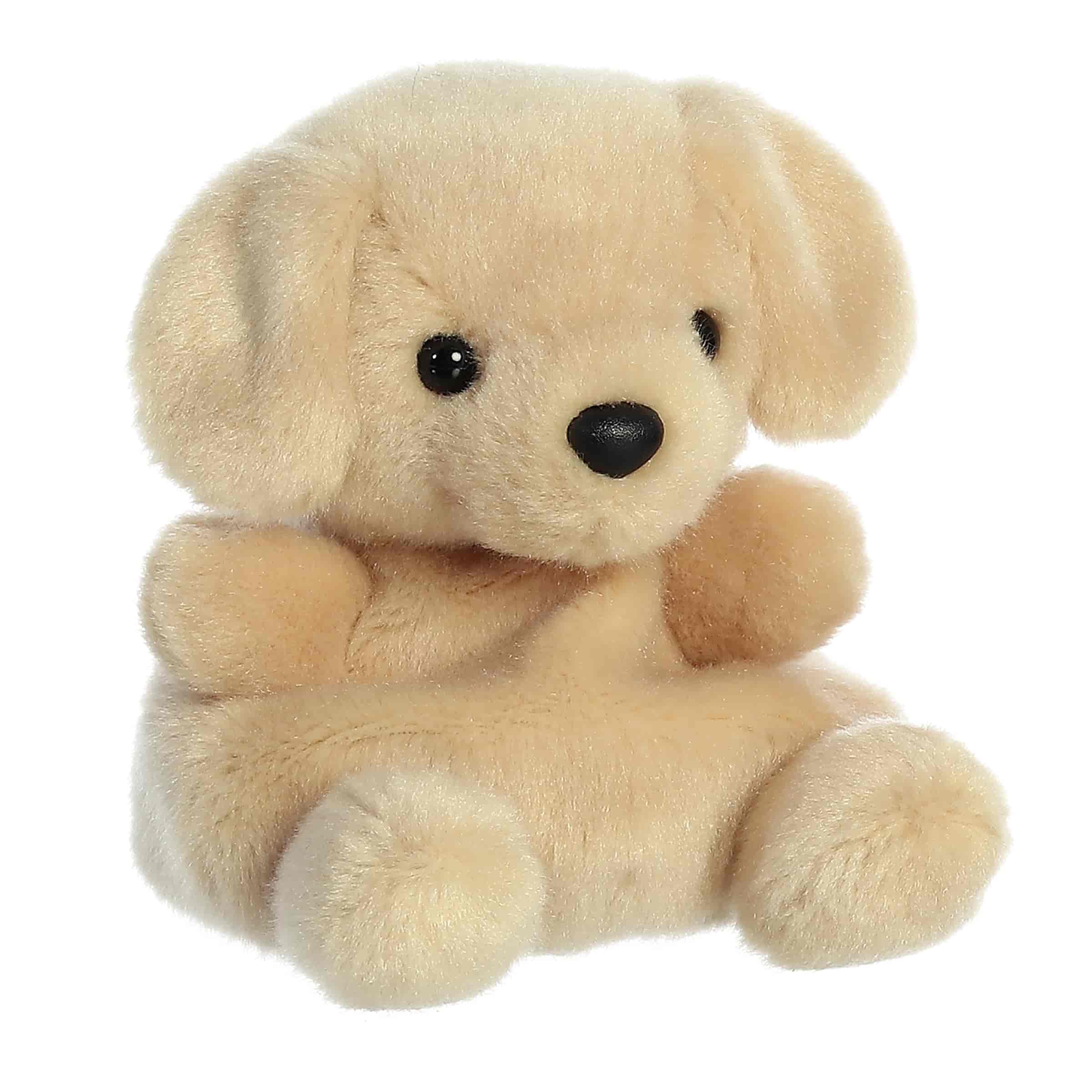 Aurora® - Palm Pals™ - Sunny Lab™