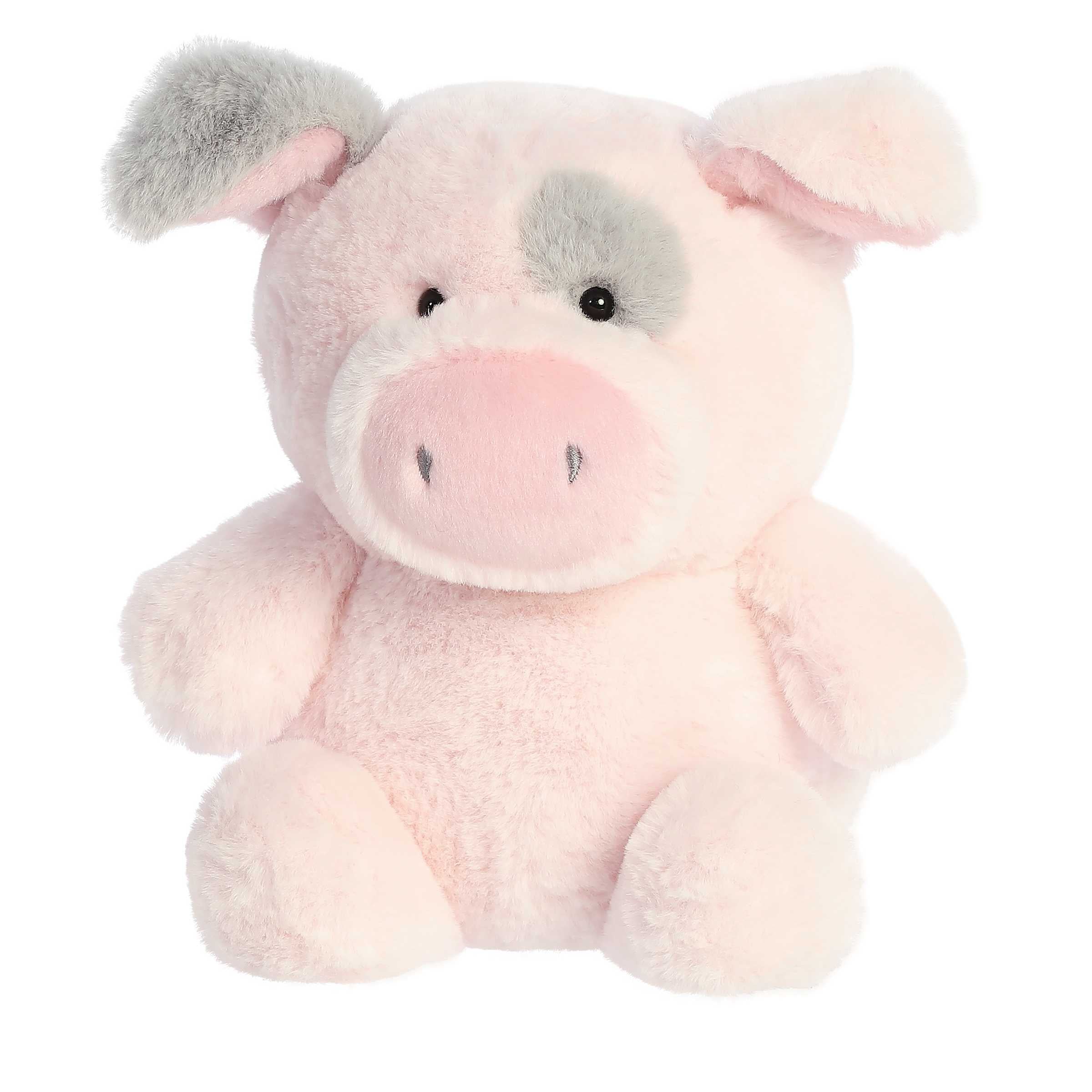 Aurora® - Stubez™ - 11" Smarty Pig™