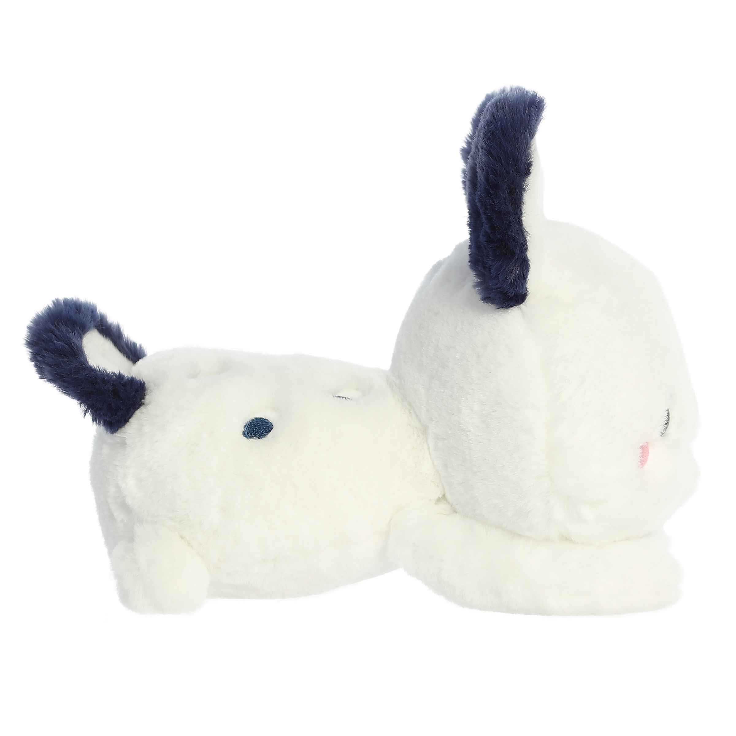 Sonny Sea Bunny - Soft Too Cute Plushies - Aurora – Aurora®
