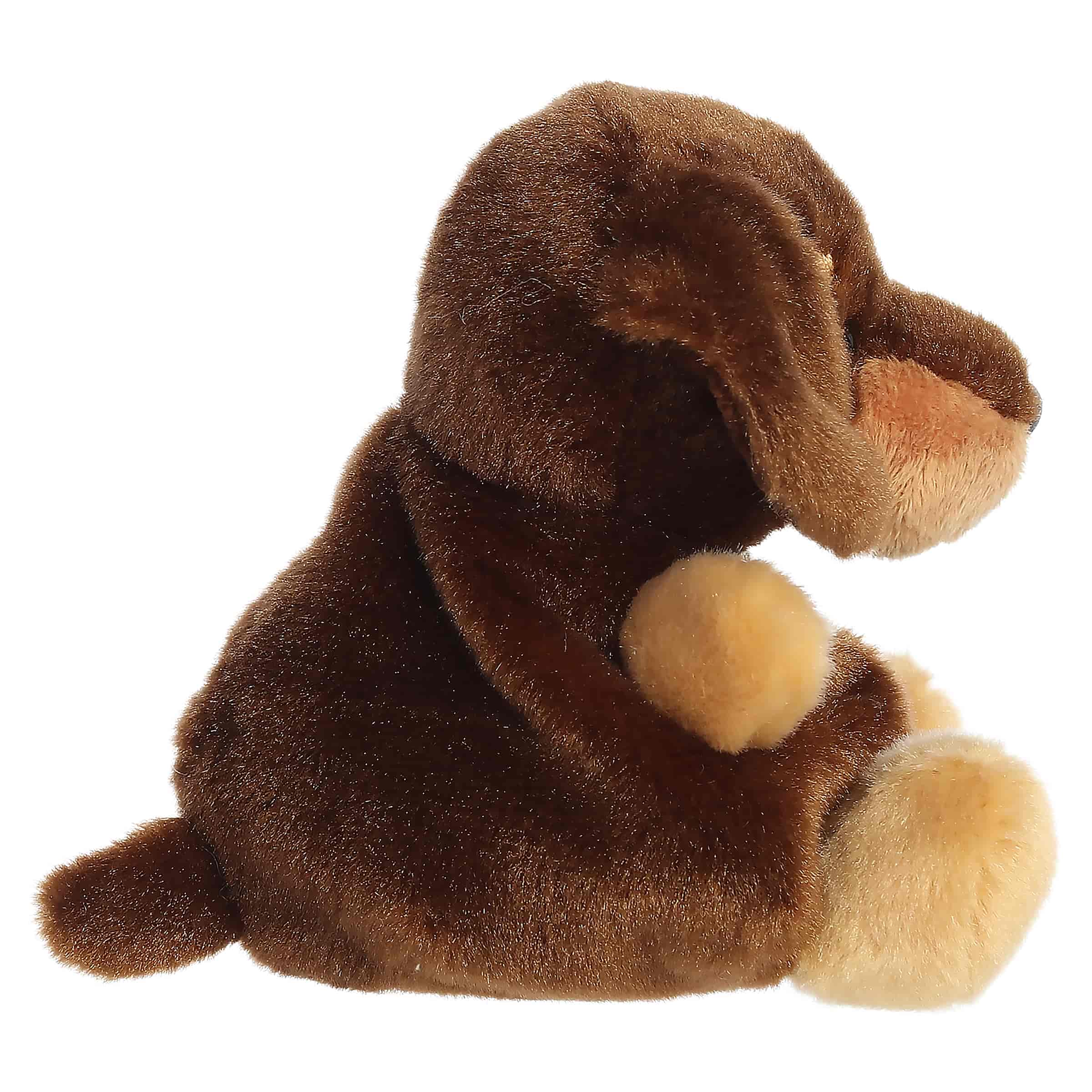 Aurora® - Palm Pals™ - 4.5" Houdini Dachshund™
