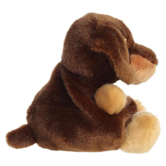 Aurora® - Palm Pals™ - 4.5" Houdini Dachshund™