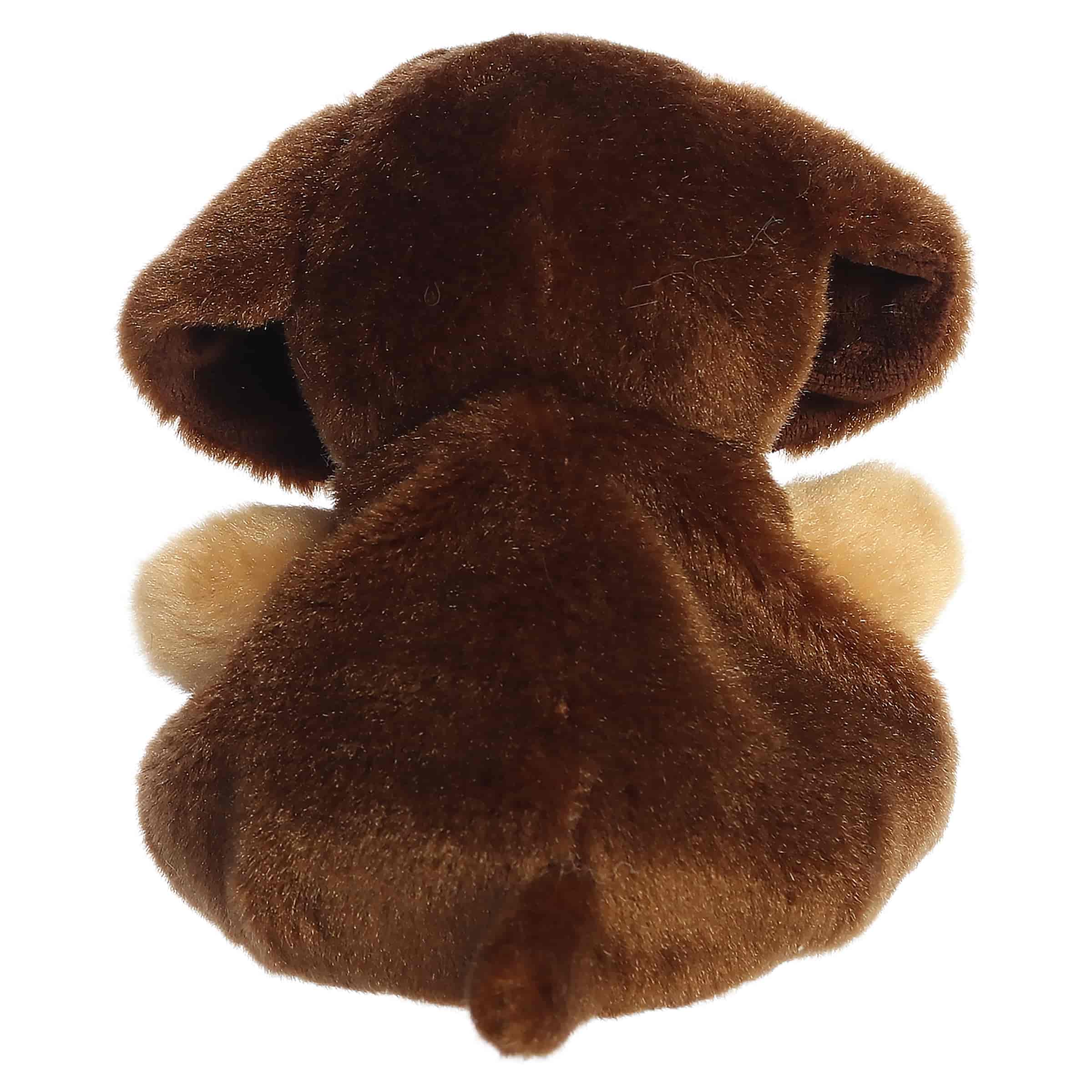 Aurora® - Palm Pals™ - 4.5" Houdini Dachshund™