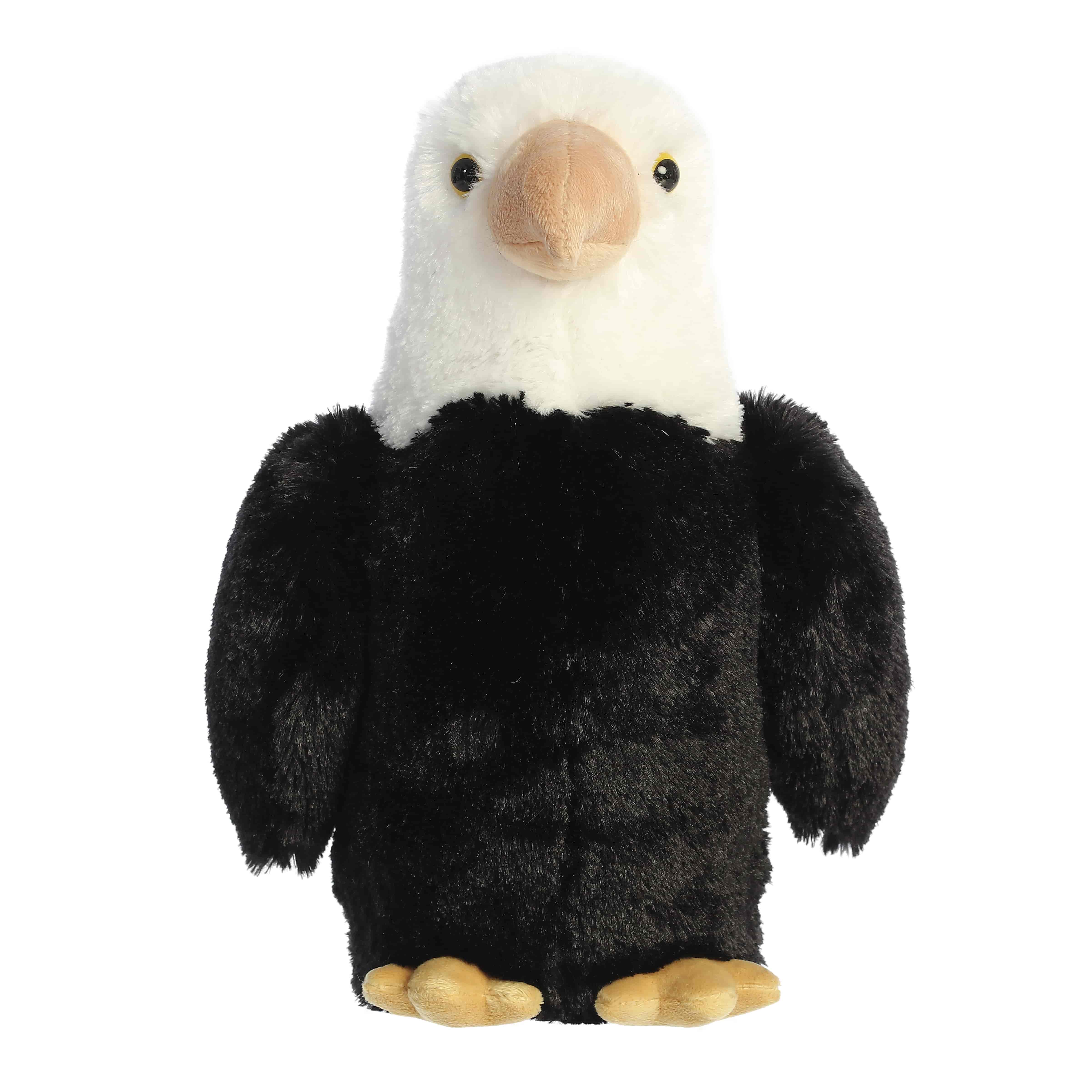 Aurora® - 13" Eagle