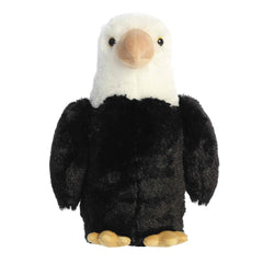 Aurora® - 13" Eagle