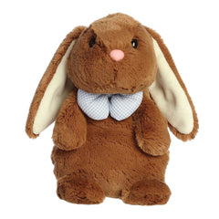 Aurora® - Spring - Daisy-Do's™ - 10" Button Bunny™