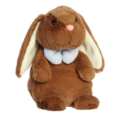 Aurora® - Spring - Daisy-Do's™ - 10" Button Bunny™