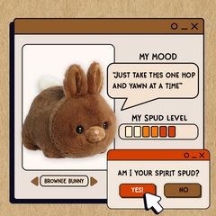 A spudsters product card for the Brownie Bunny plush by Aurora