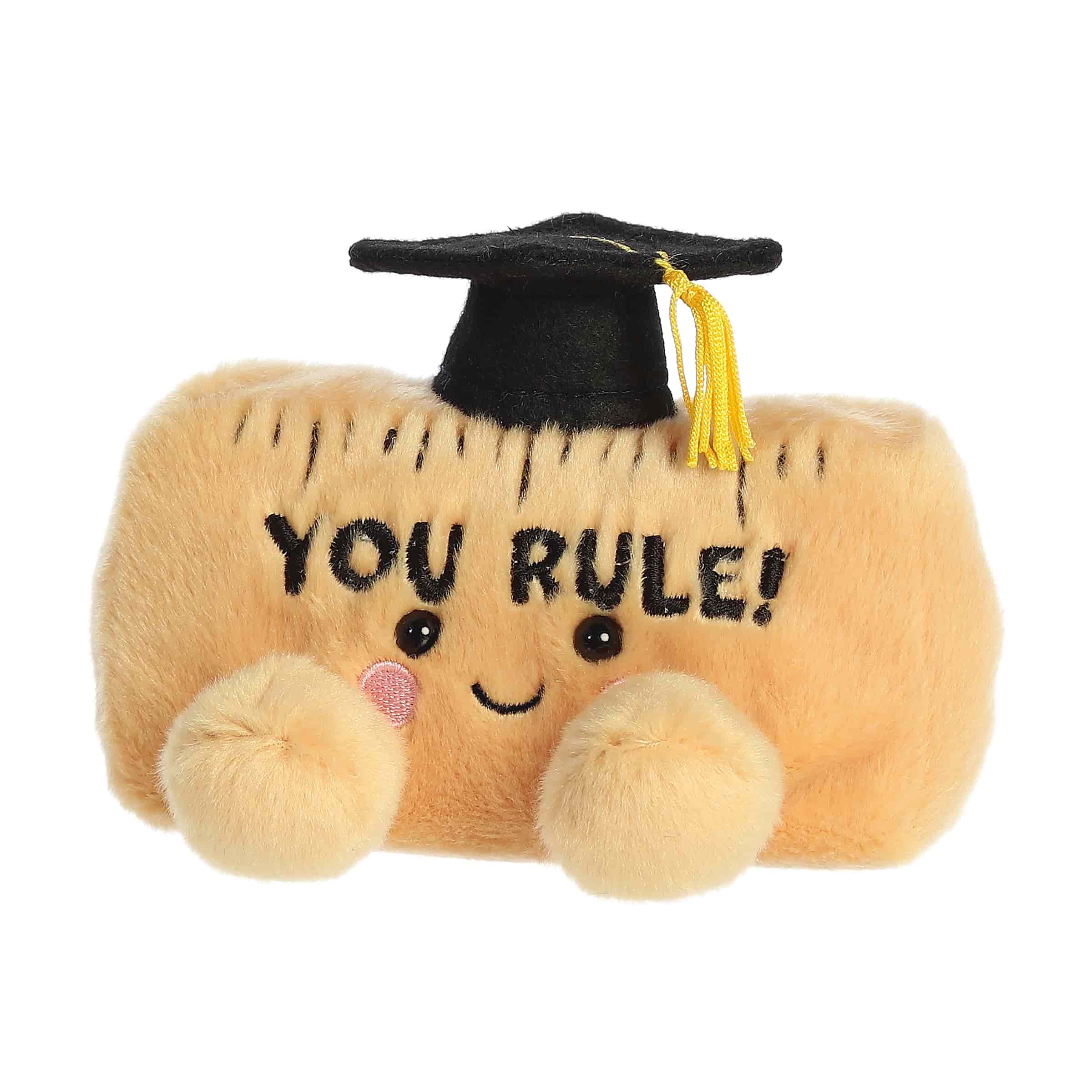 Aurora® - Palm Pals™ - 5" You Rule Ruler™