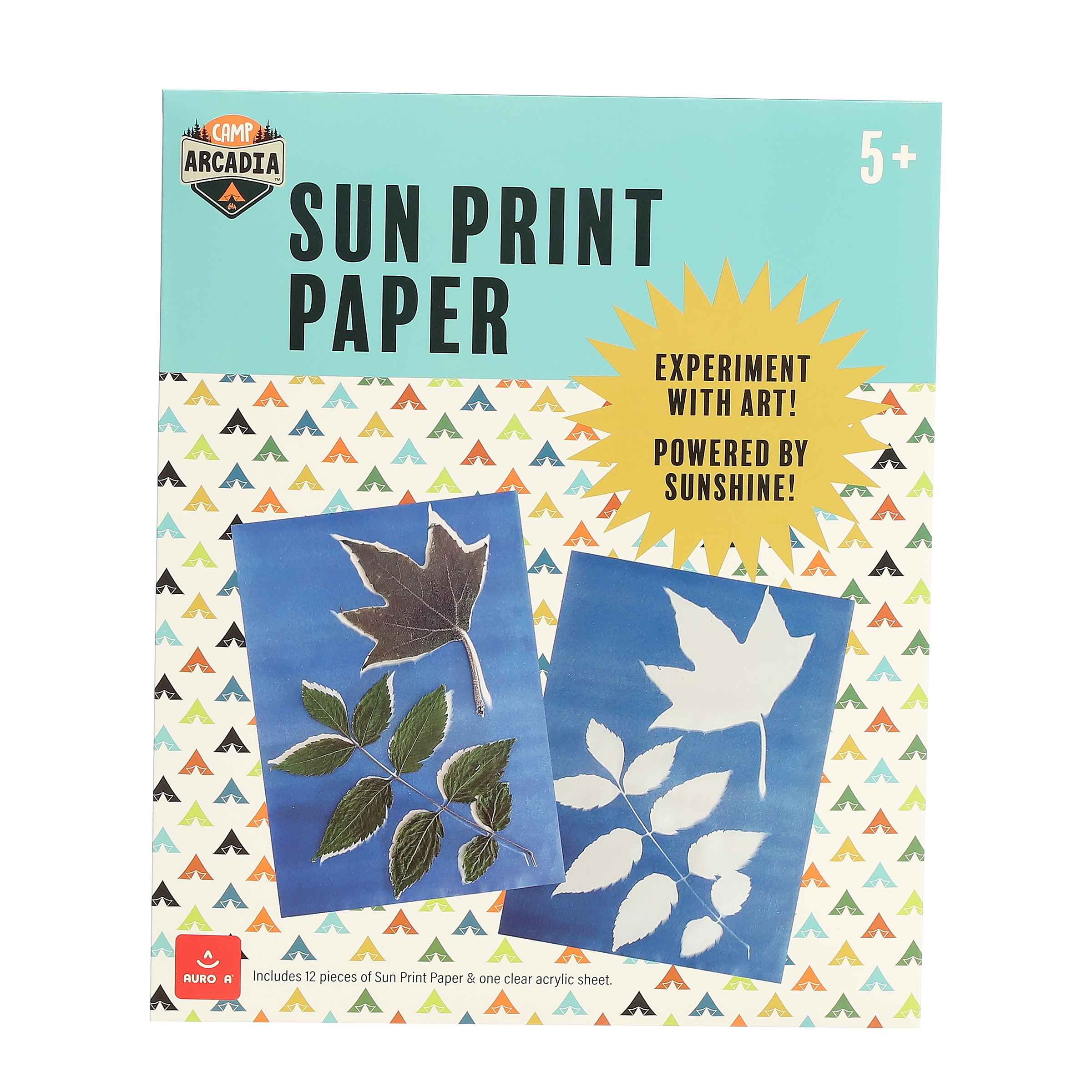 Camp Arcadia Solar Paper packaging, featuring examples of nature prints created using sunlight and objects like leaves