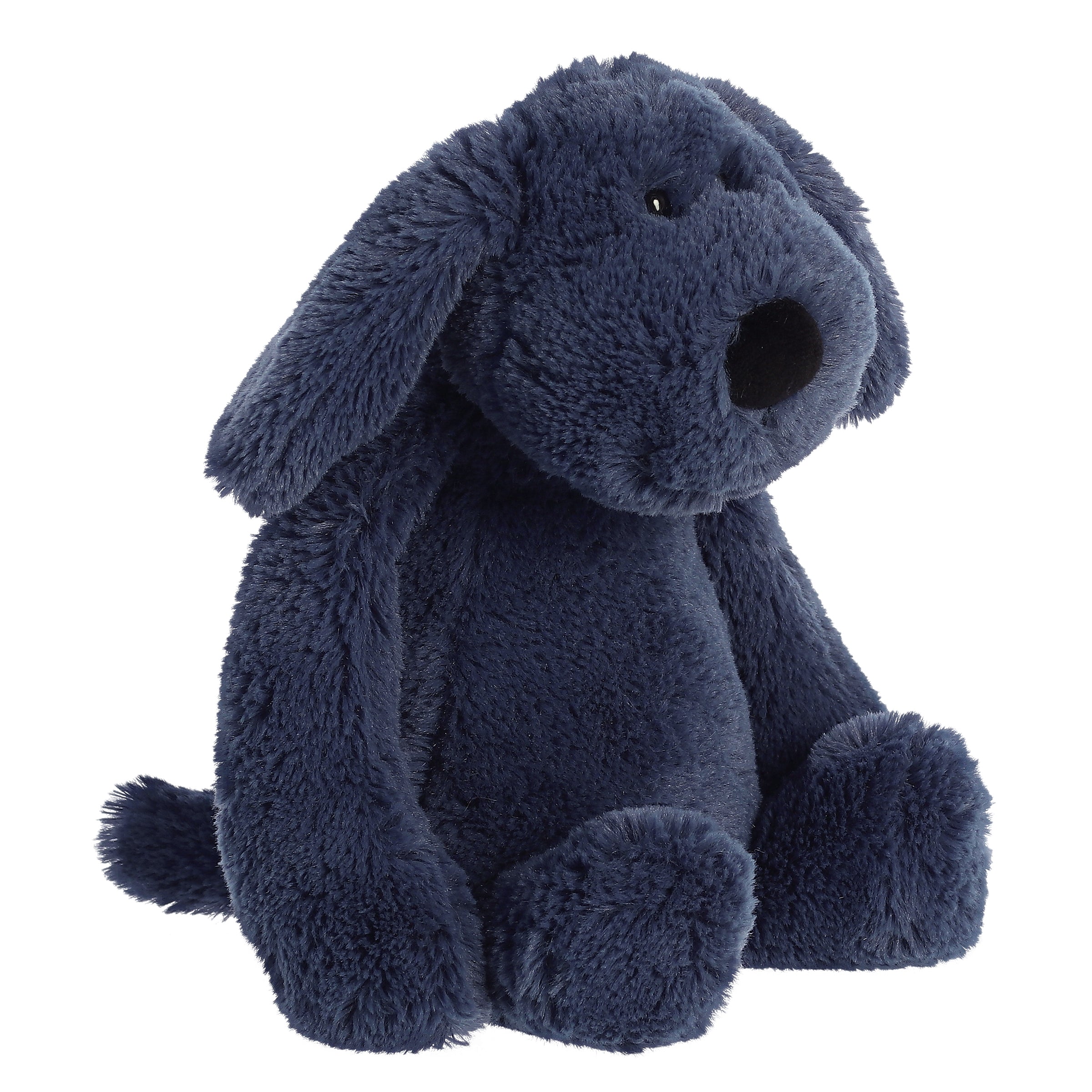 blue dog teddy