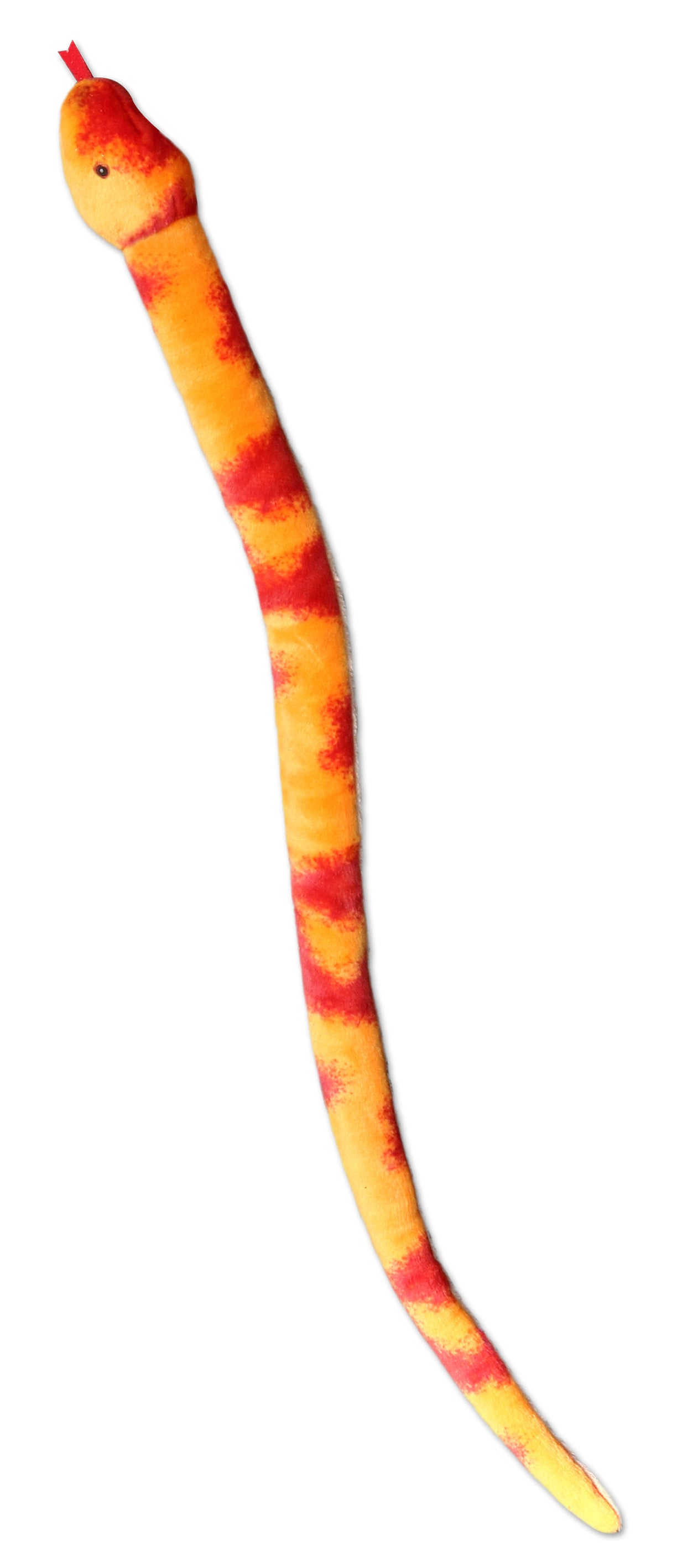 Aurora® - Snake - 50" Corn Snake