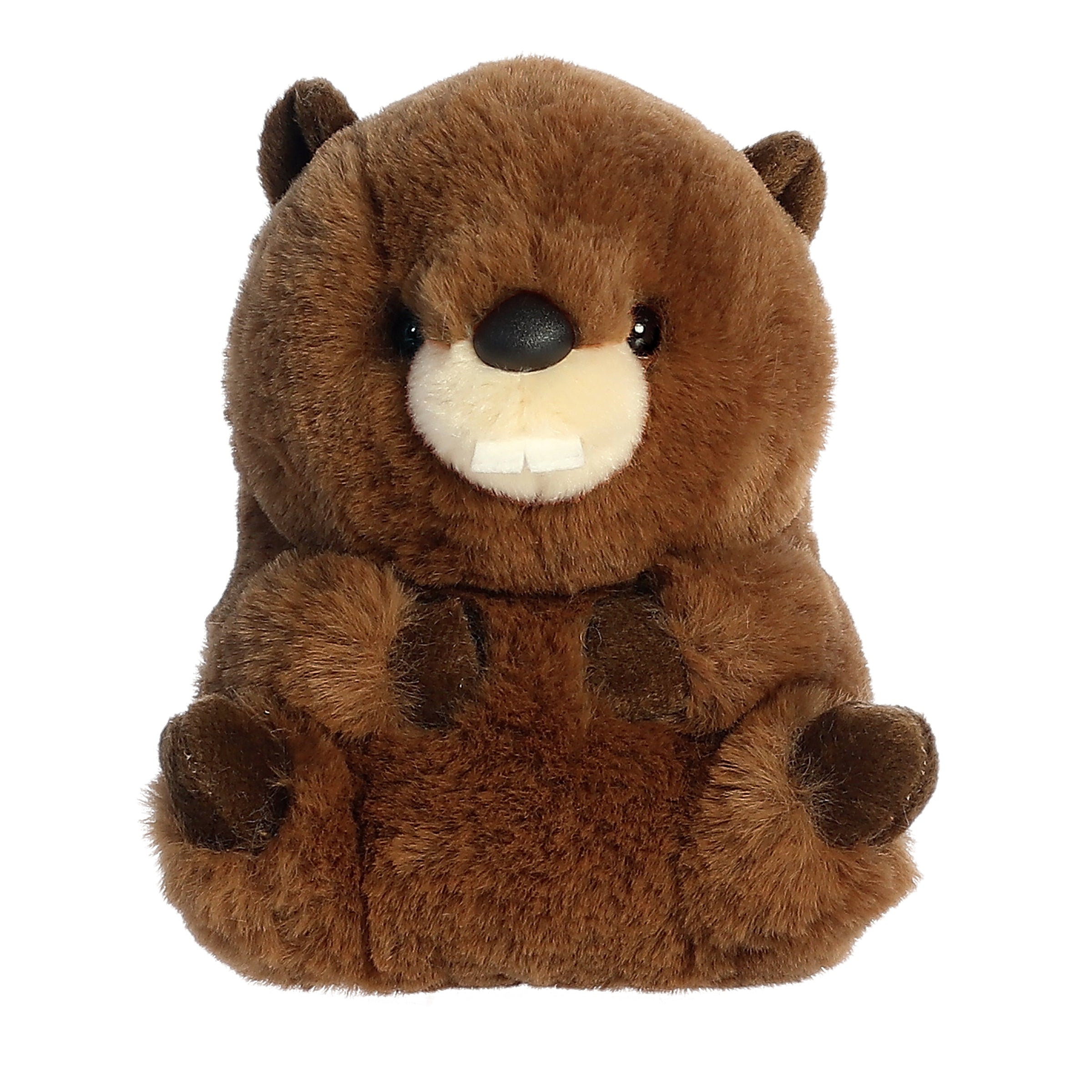 Chocolate Beaver plush, warmly coated and featuring a charming, adventurous expression with a playful hint of tree bark.