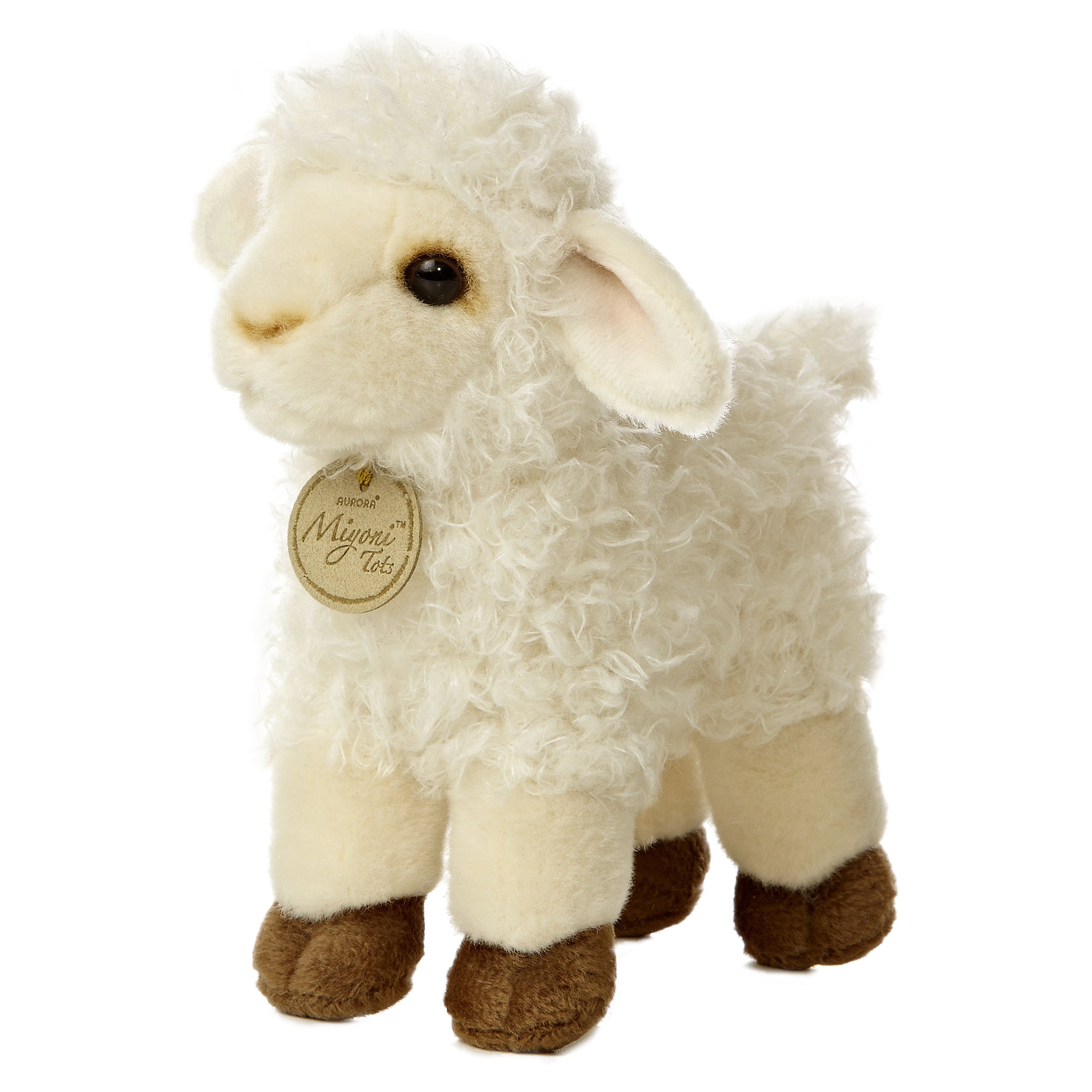 fluffy baby lamb