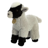 Aurora® - Miyoni® - 11" Goat Kid
