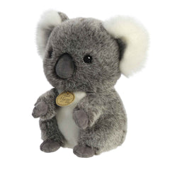 koala様 毛並みツヤツヤやなあ🐨🍀☺️ 20231203 🙅‍♀️無断転載禁止