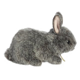 Aurora® - Miyoni® - 7.5" Netherland Dwarf Bunny - Grey