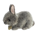 Aurora® - Miyoni® - 7.5" Netherland Dwarf Bunny - Grey