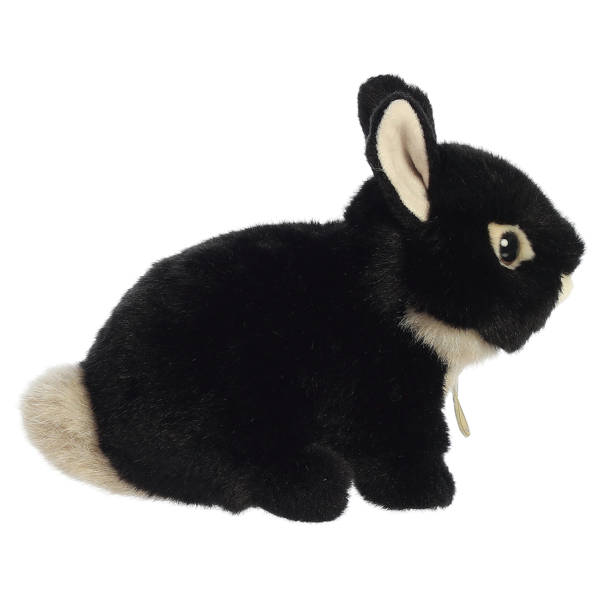 White Dwarf Rabbit