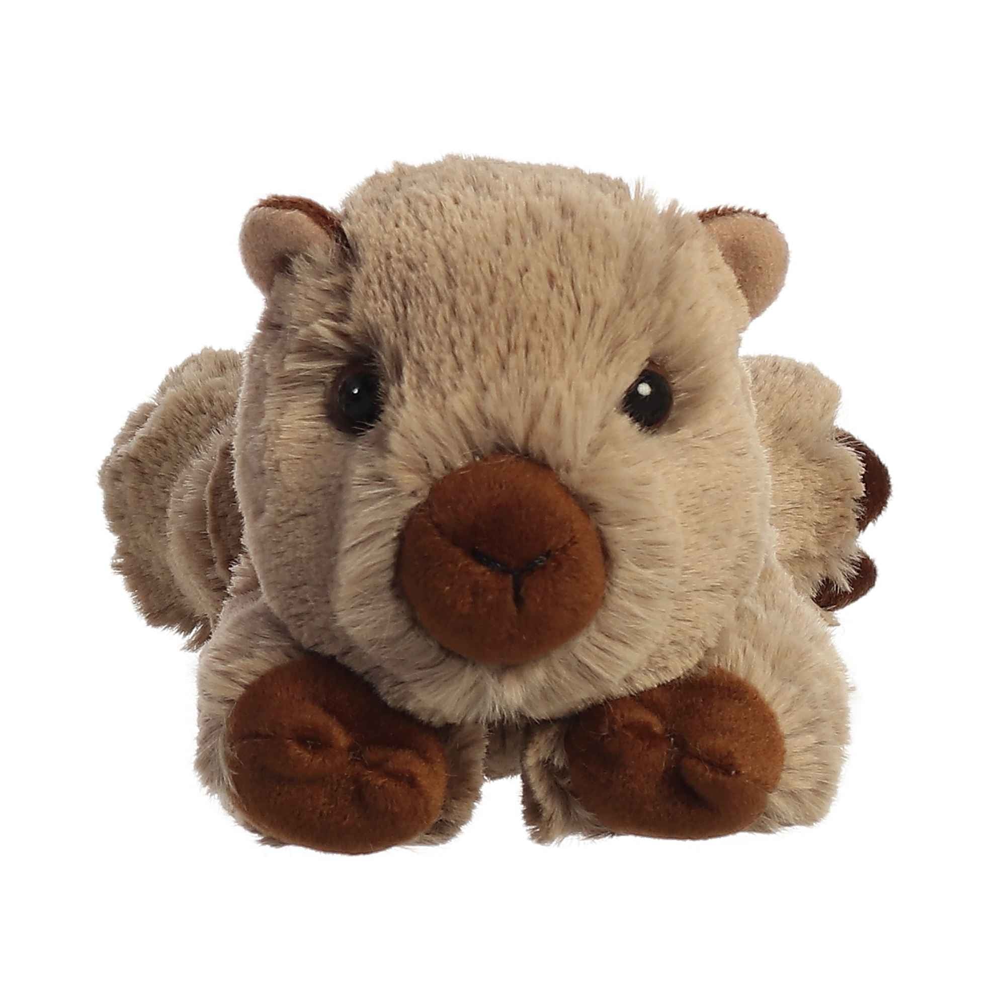 Aurora® - Mini Flopsie™ - 8" Winnie Wombat™