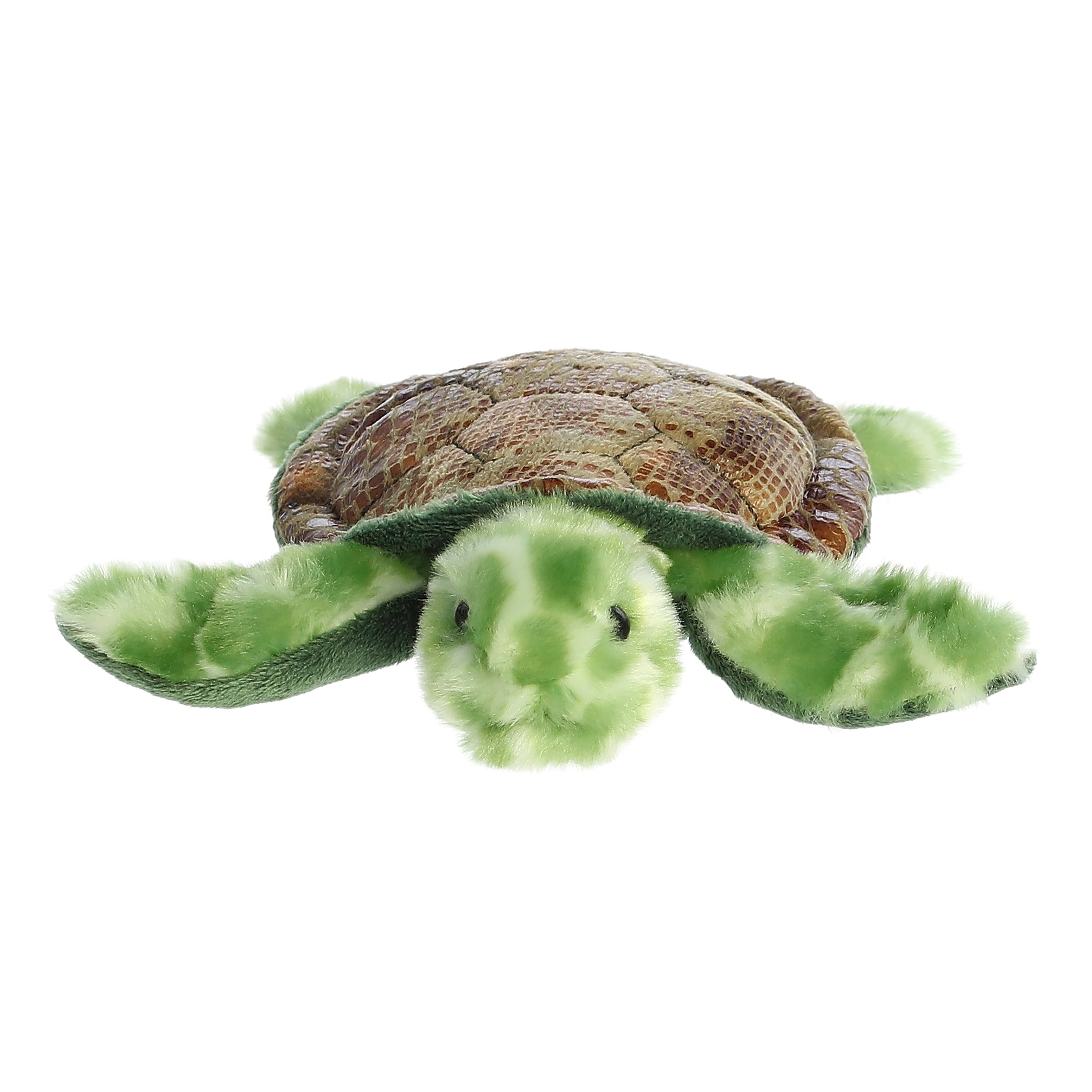 Aurora® - Mini Flopsie™ - 8" Splish Sea Turtle™