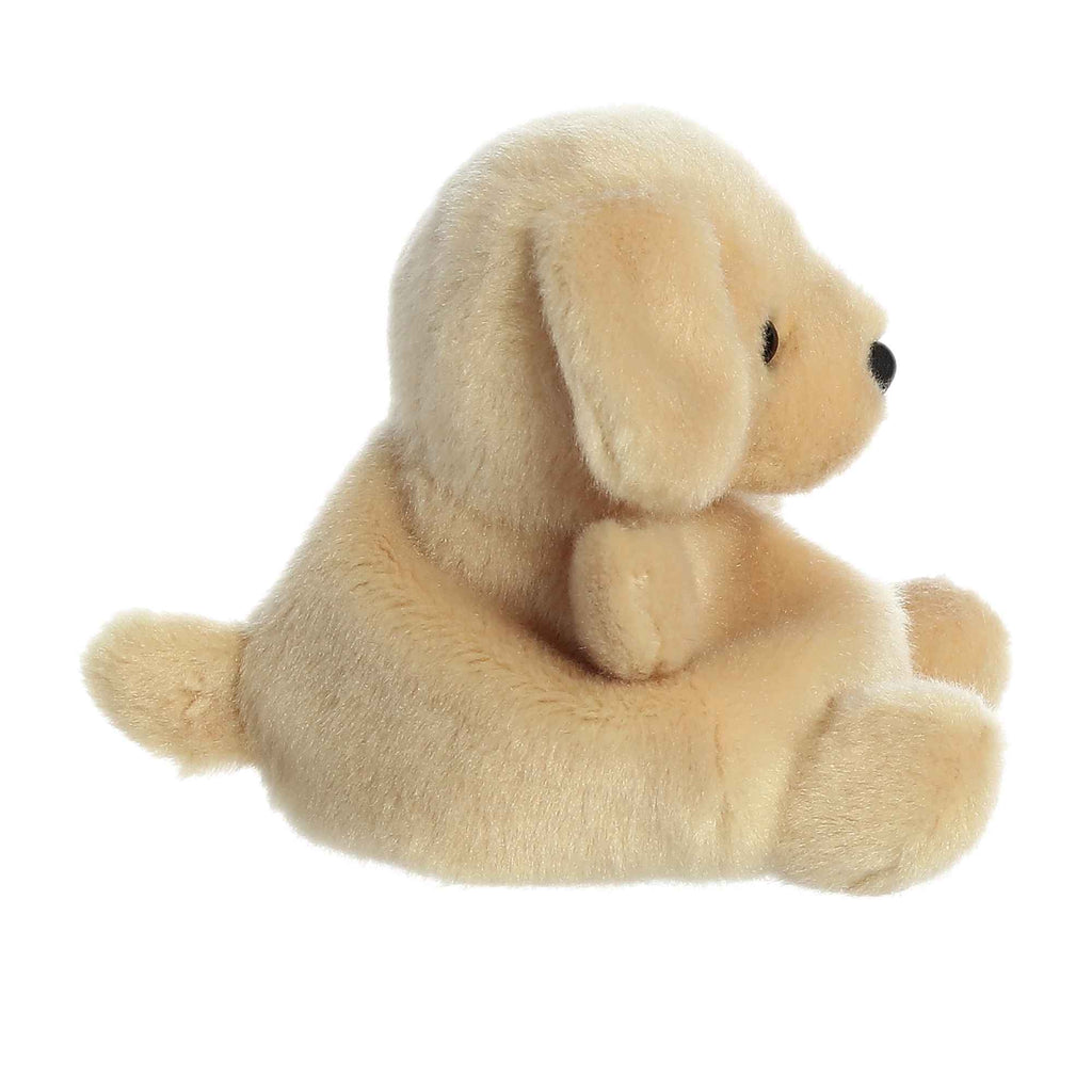 Palm Pals - SUNNY LAB - Pet Collection – Aurora®