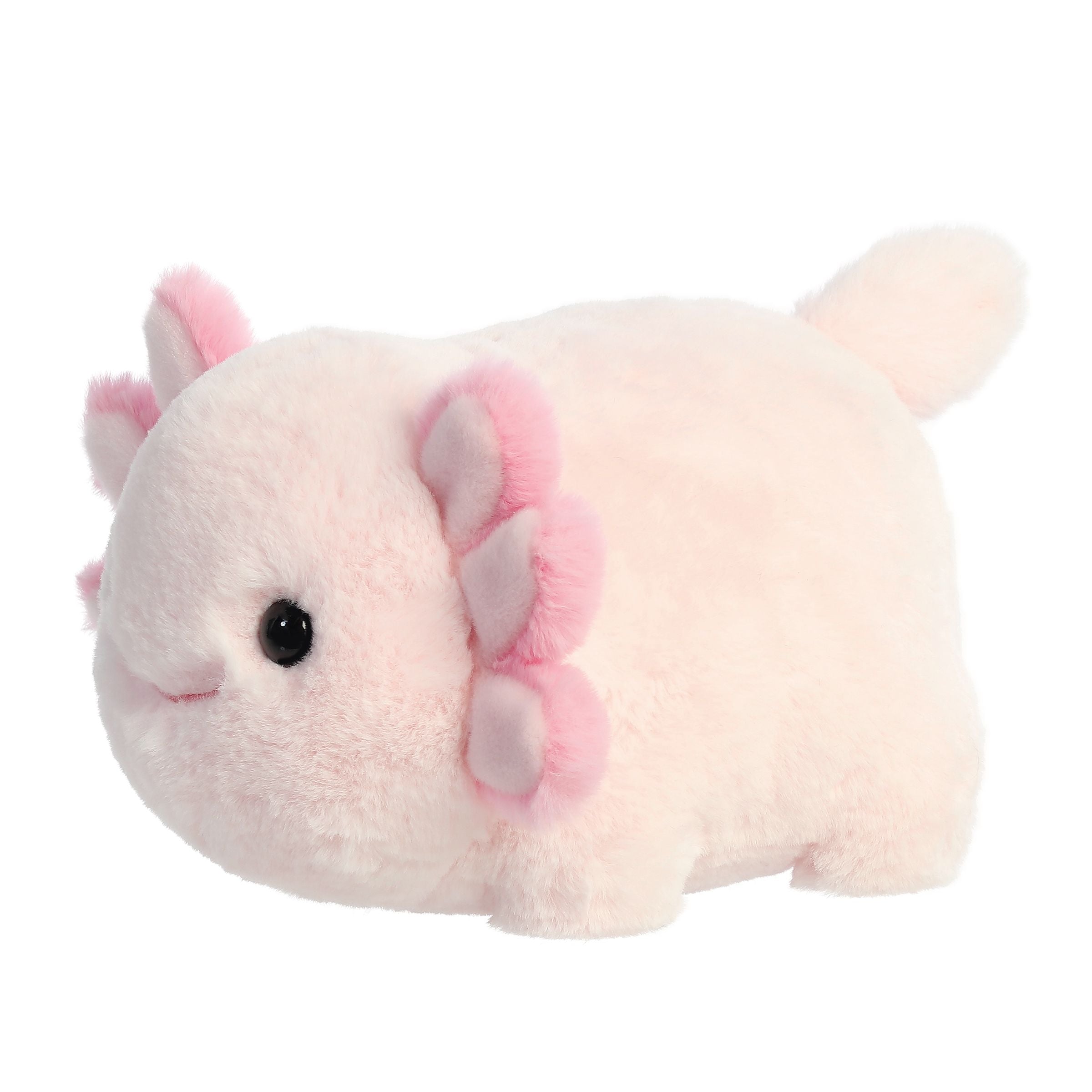 Axel Axolotl Sweet Spudsters Plushies Aurora Aurora axel-axolotl-sweet-spudsters-plushies-aurora-aurora