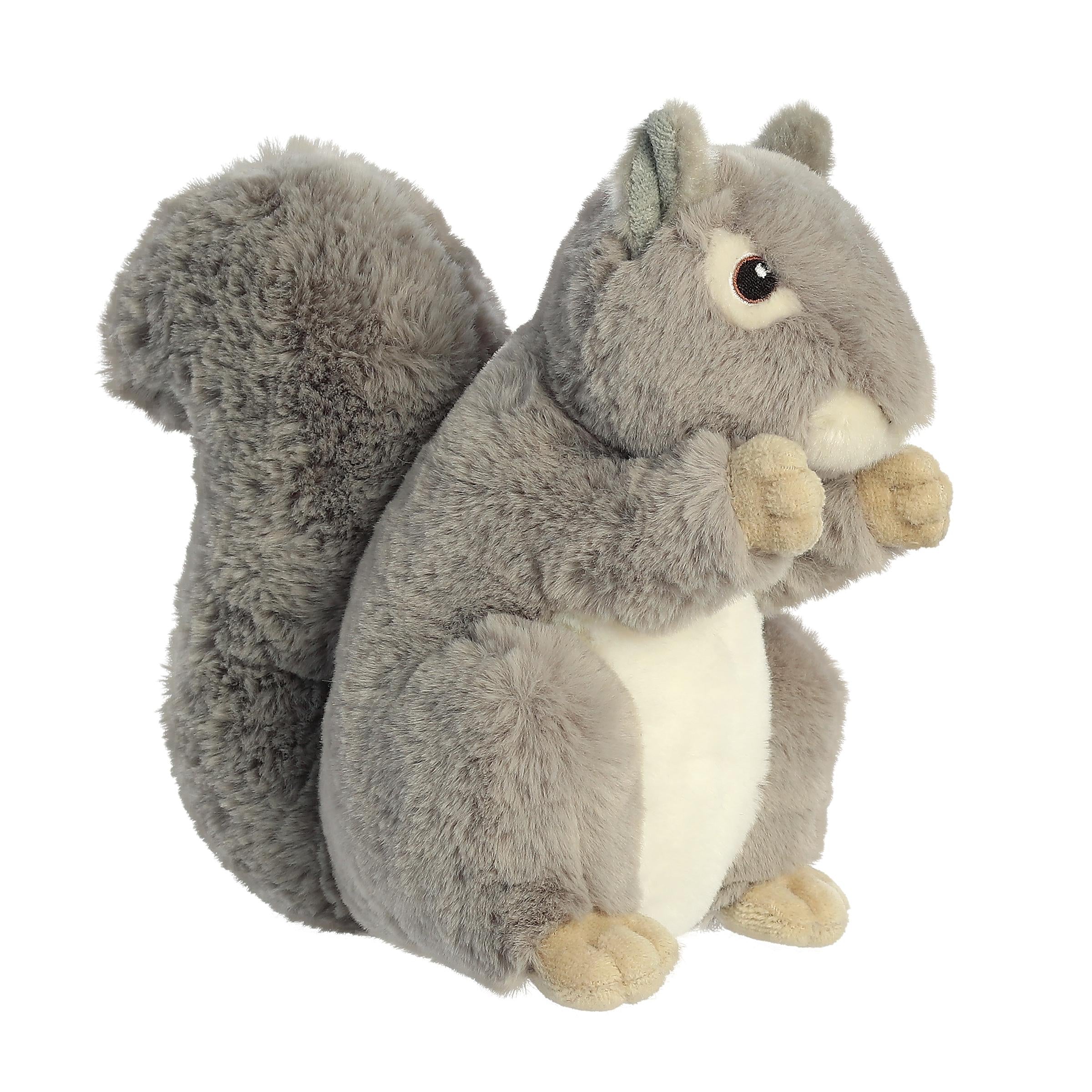  Aurora Chip The Chipmunk & Nutty The Gray Squirrel
