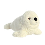 Aurora® - Eco Nation™ - 12" Seal
