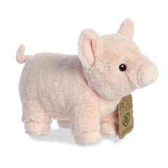 A winsome pig plush with a lovely pink coat that has adorable embroidered eyes and an eco-nation tag hanging from its neck