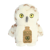 An enchanting owl plush with a white coat and brown marks throughout, and an eco-nation tag around its neck.