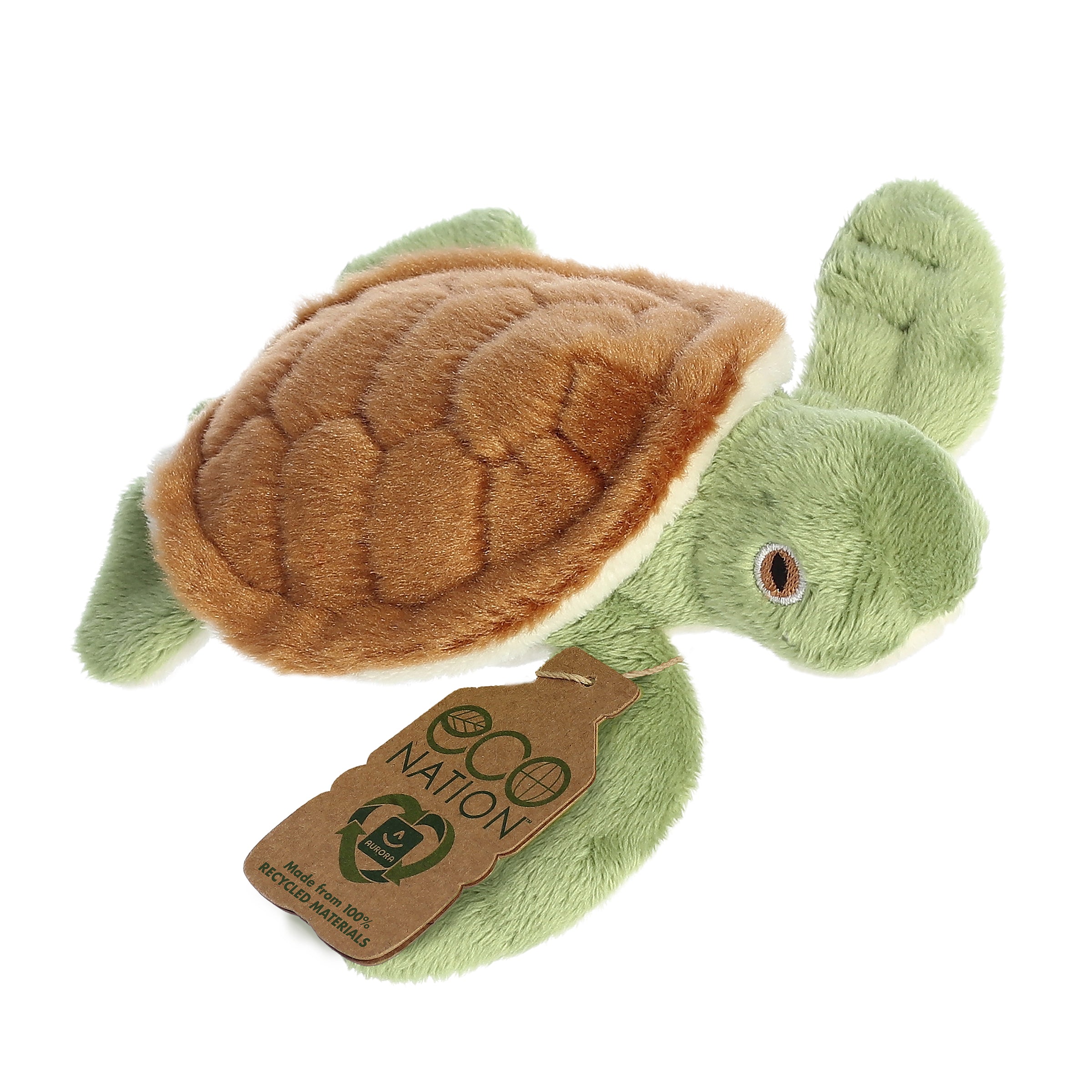 An endearing turtle plush with a brown shell and green body, and an eco-nation tag on its right fin.