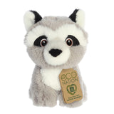 A precious raccoon plush with grey and white fur, soft embroidered eyes, and an eco-nation tag around its neck.