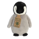 A medium-sized baby penguin plush with a brilliant black and grey coat, embroidered eyes, and an eco-nation tag.